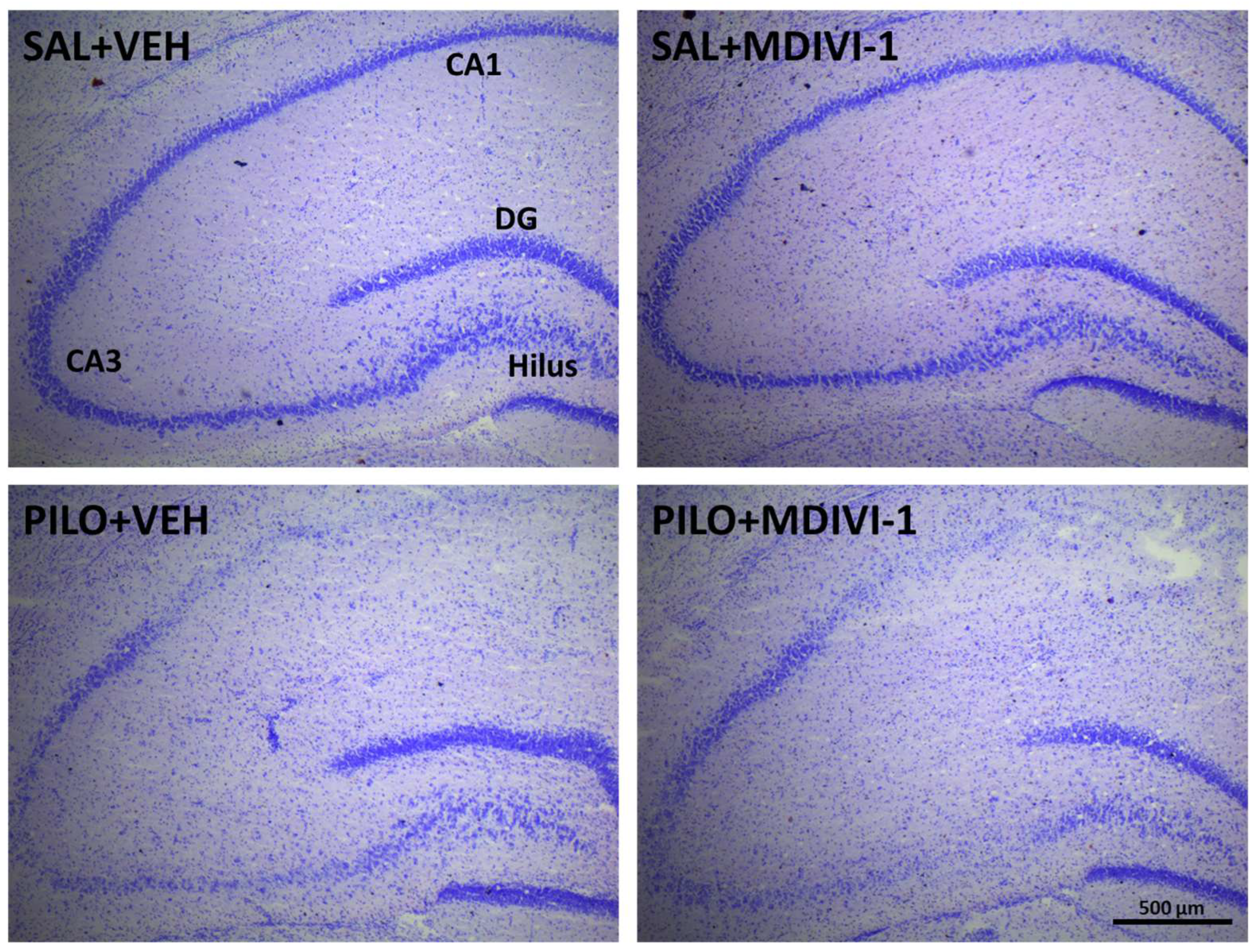 Biomolecules 15 01242 g005