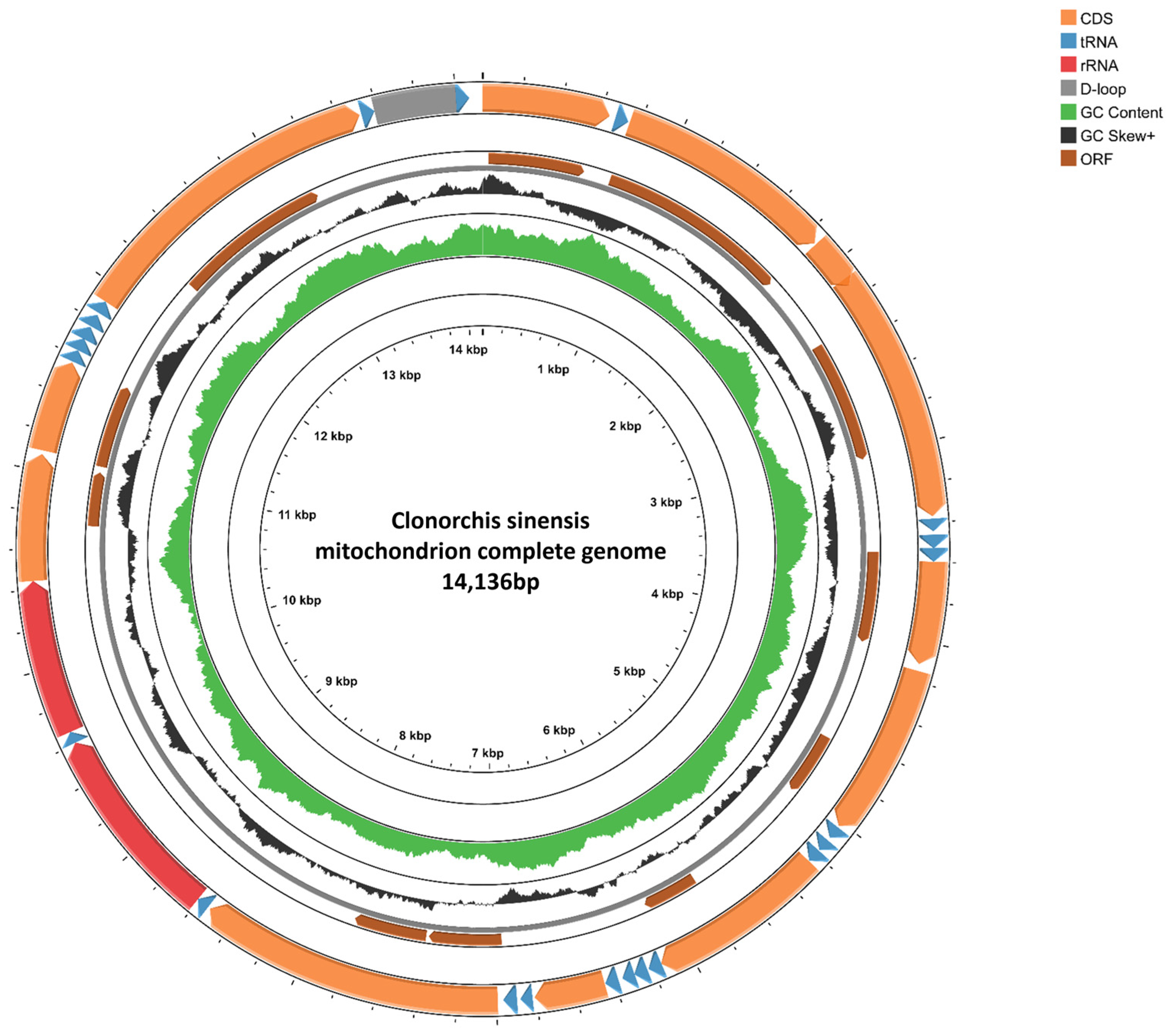 Biomolecules 15 01246 g001
