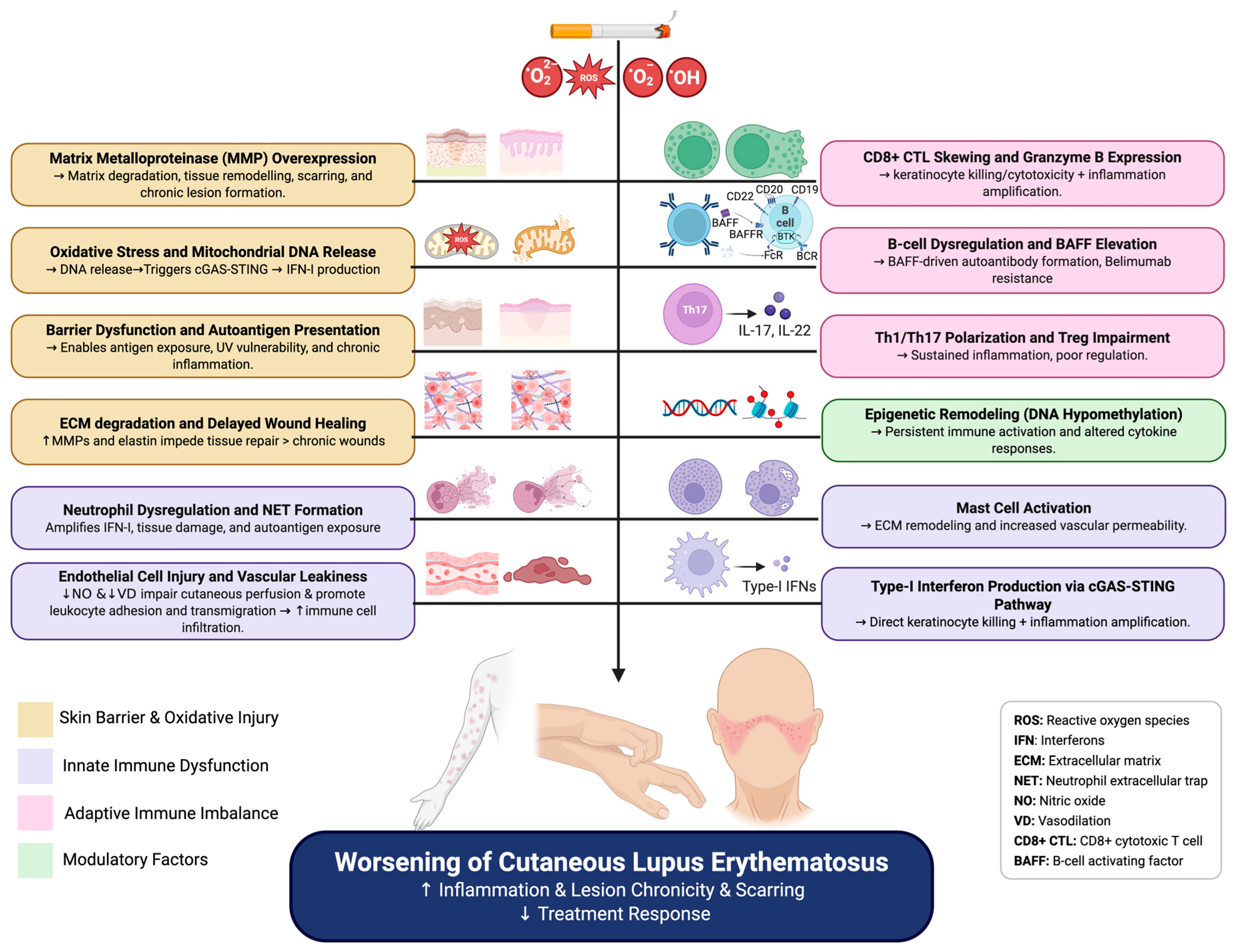 Biomolecules 15 01250 g001
