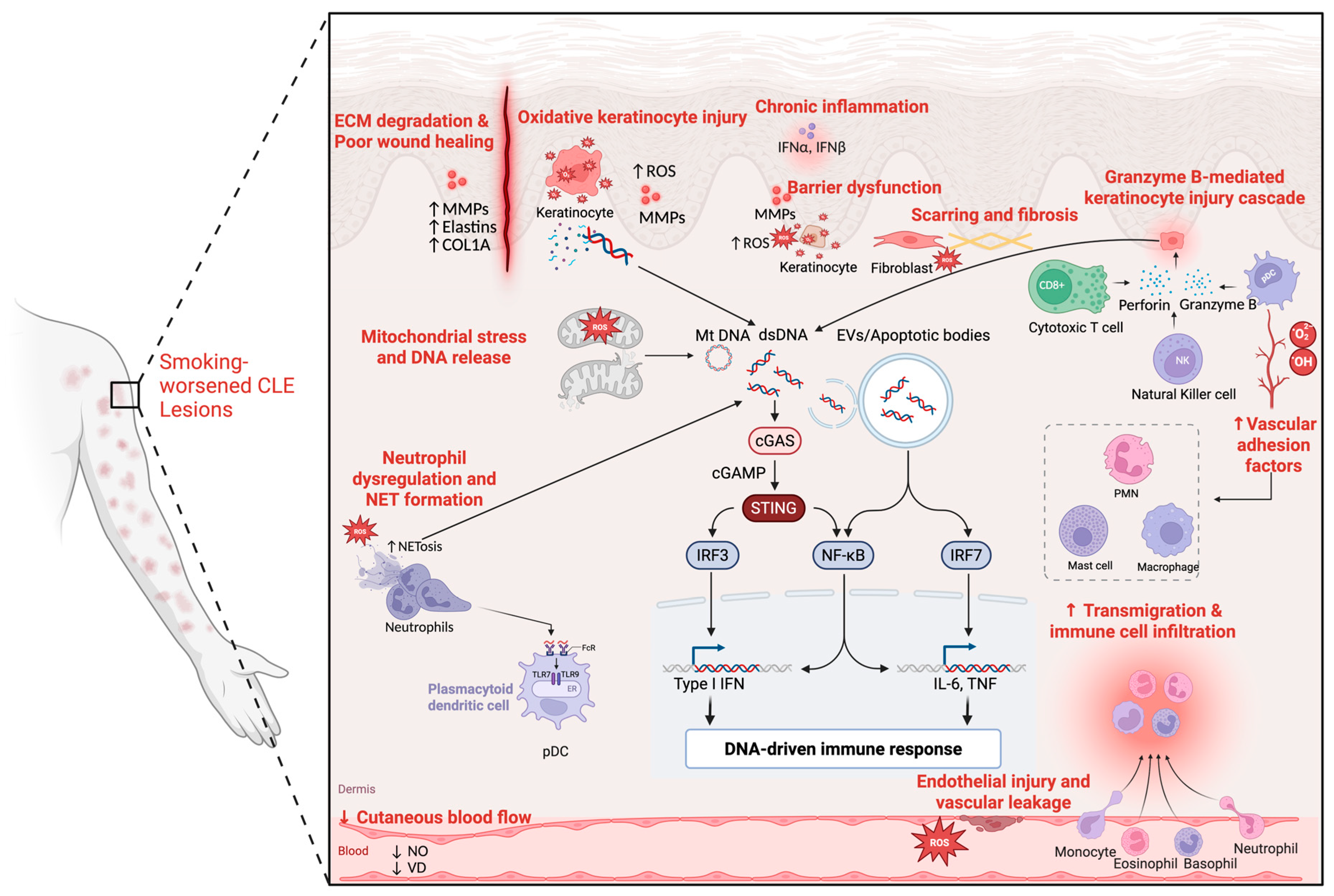 Biomolecules 15 01250 g002