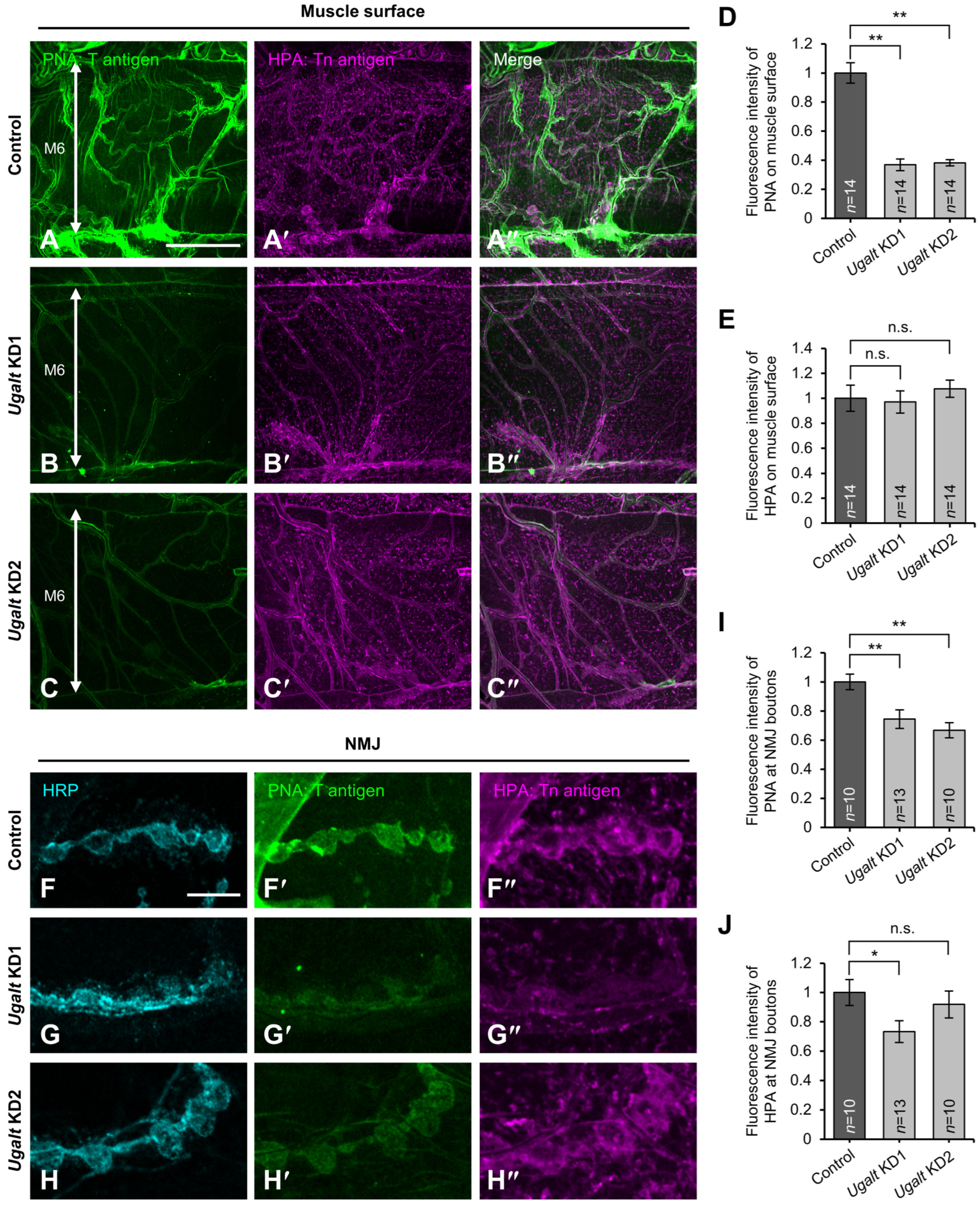 Biomolecules 15 01256 g003 Biomolecules 15 01256 g003