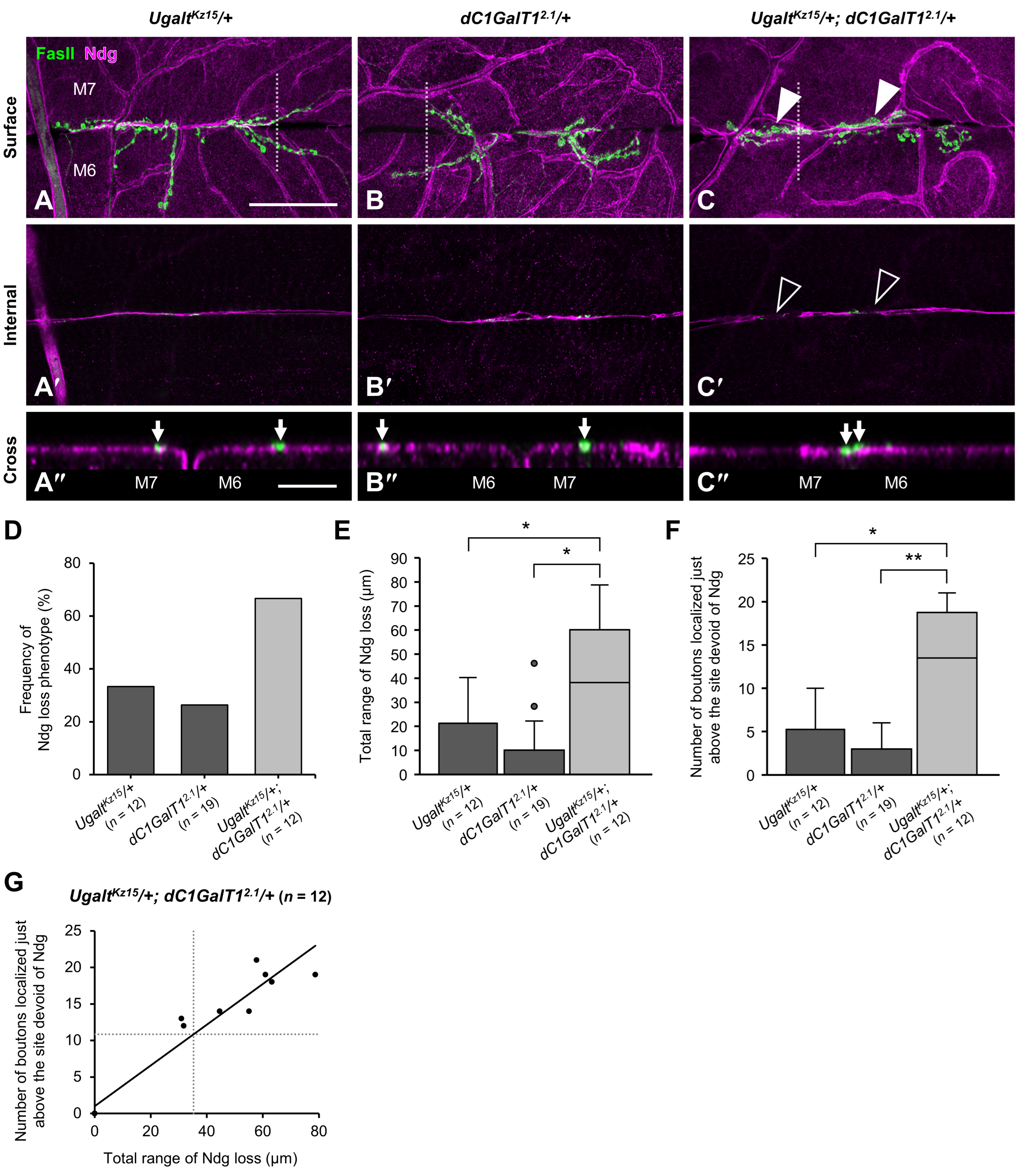 Biomolecules 15 01256 g008 Biomolecules 15 01256 g008