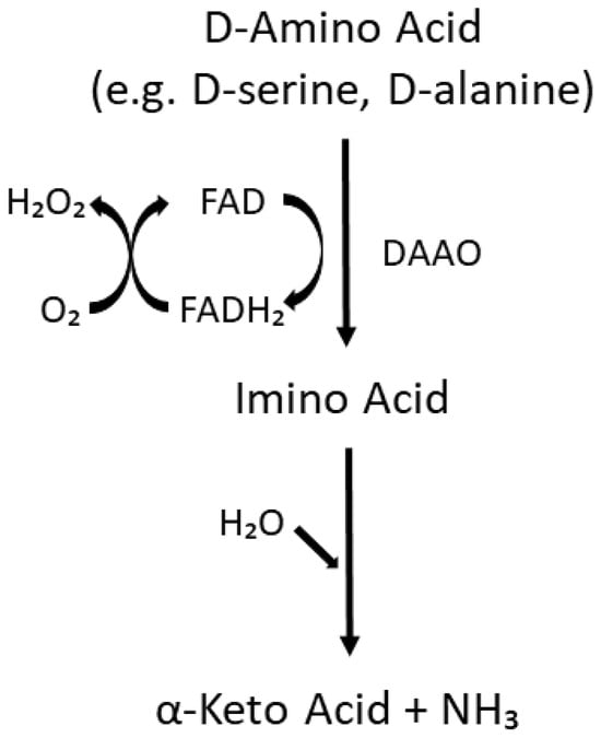 Biomolecules 15 01270 g002