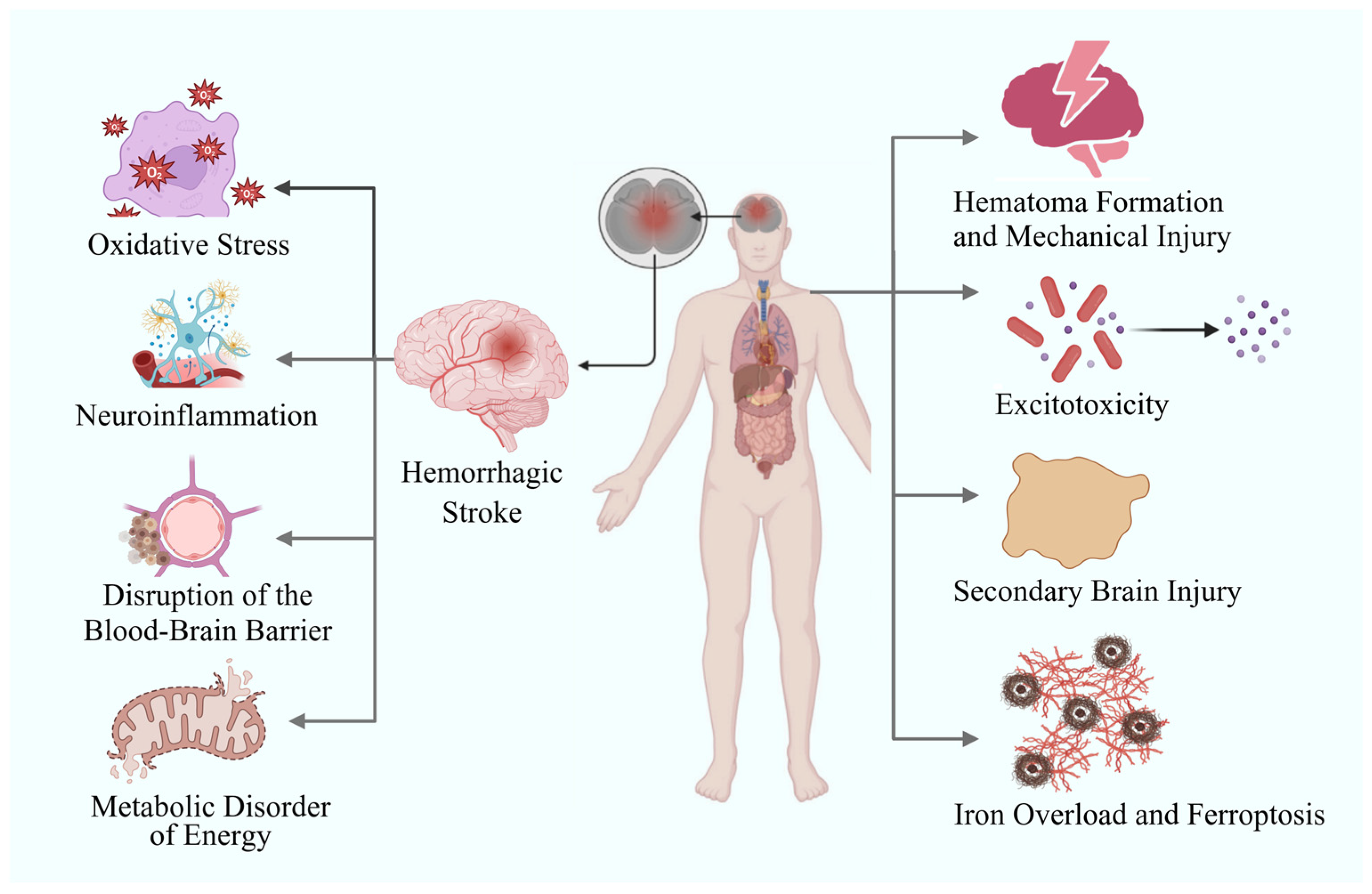 Biomolecules 15 01272 g001 Biomolecules 15 01272 g001
