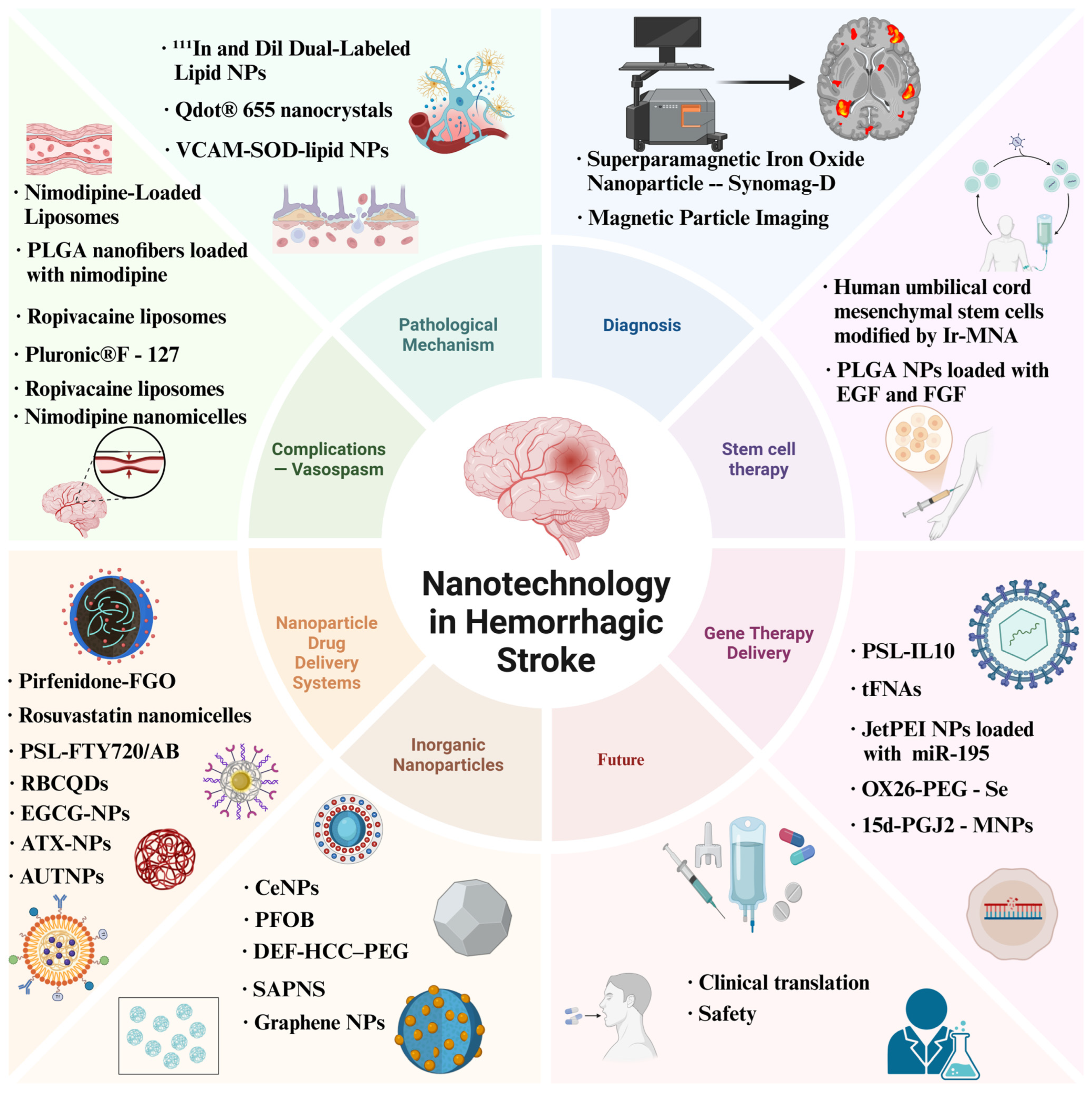 Biomolecules 15 01272 g002 Biomolecules 15 01272 g002