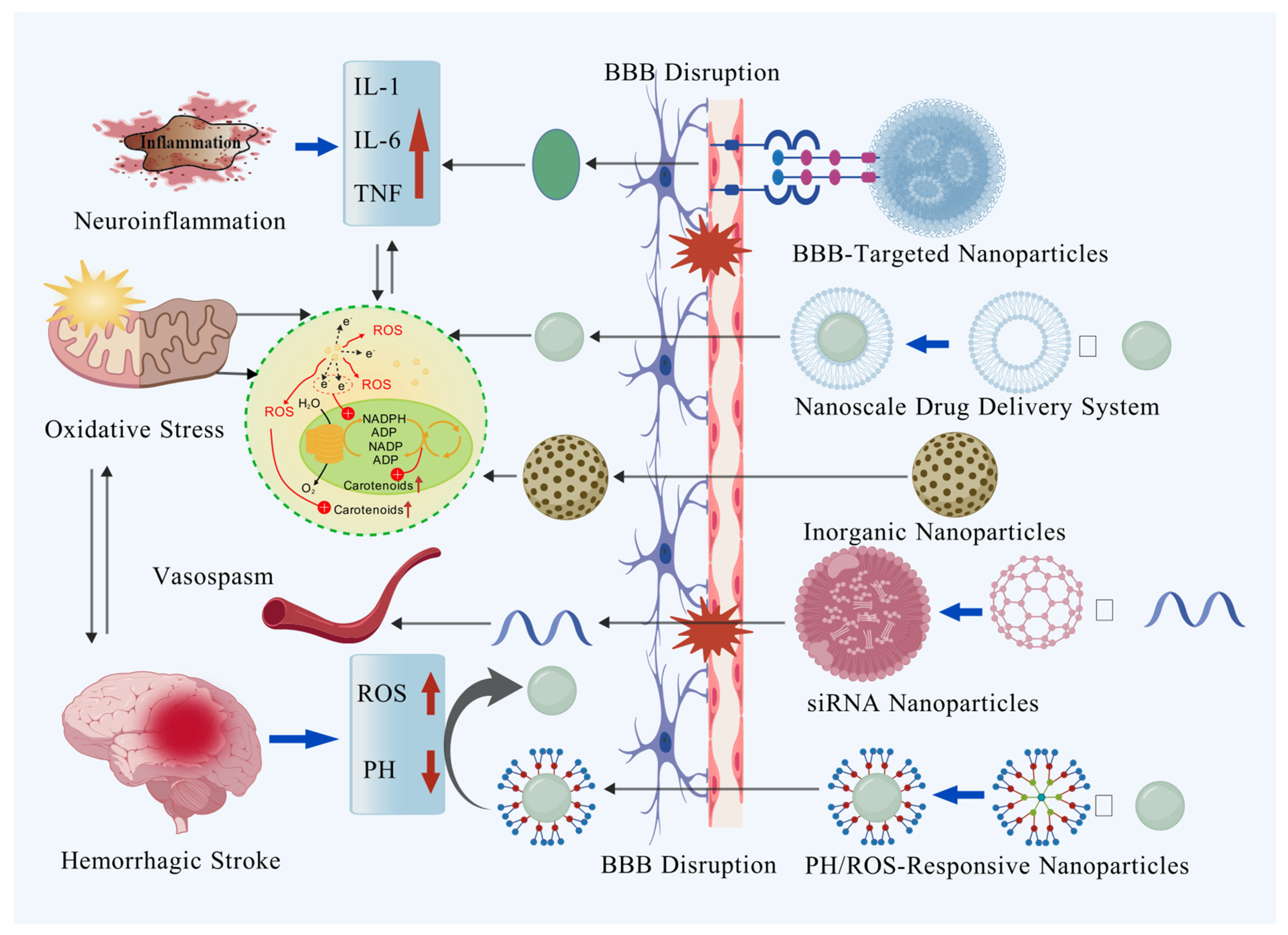 Biomolecules 15 01272 g003 Biomolecules 15 01272 g003