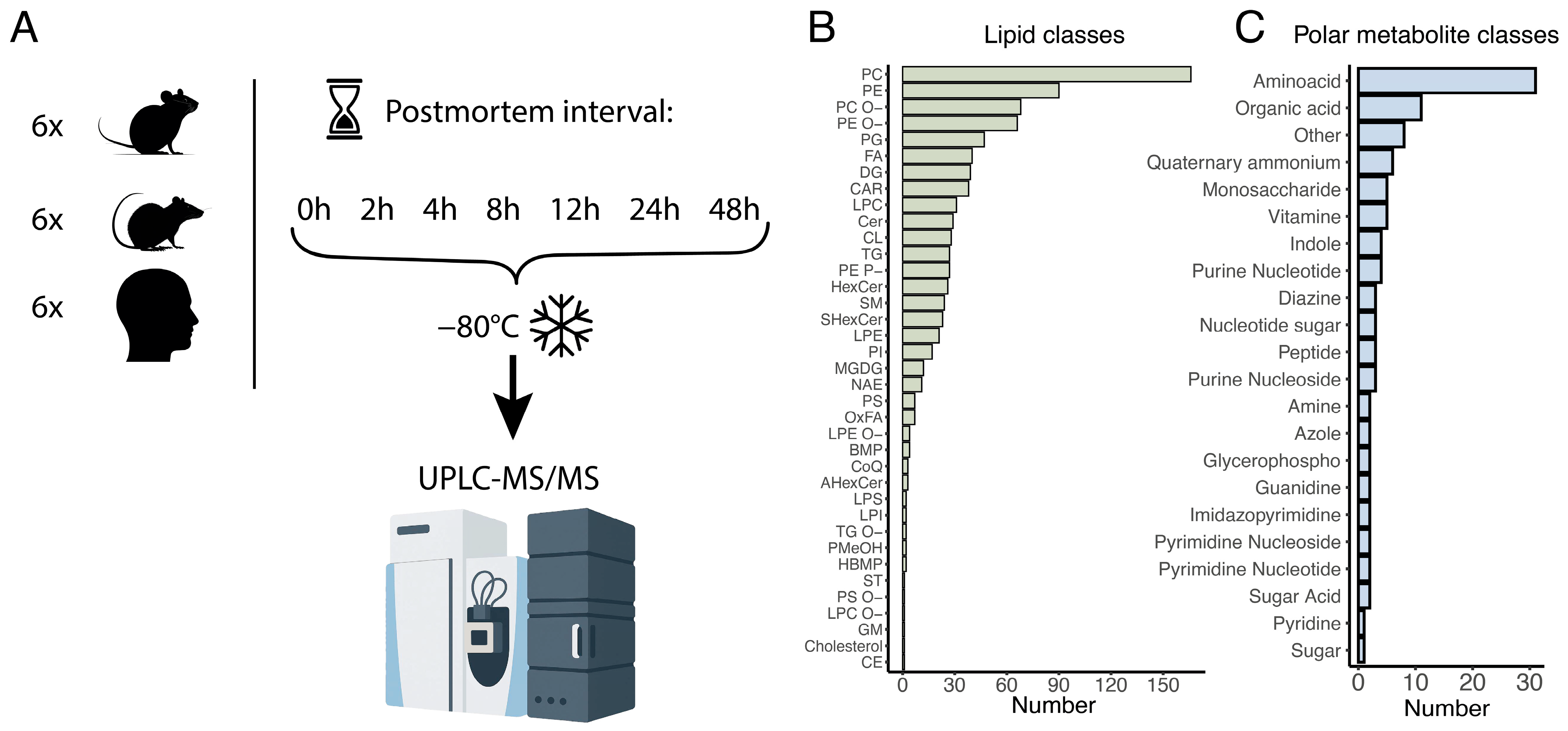 Biomolecules 15 01288 g001