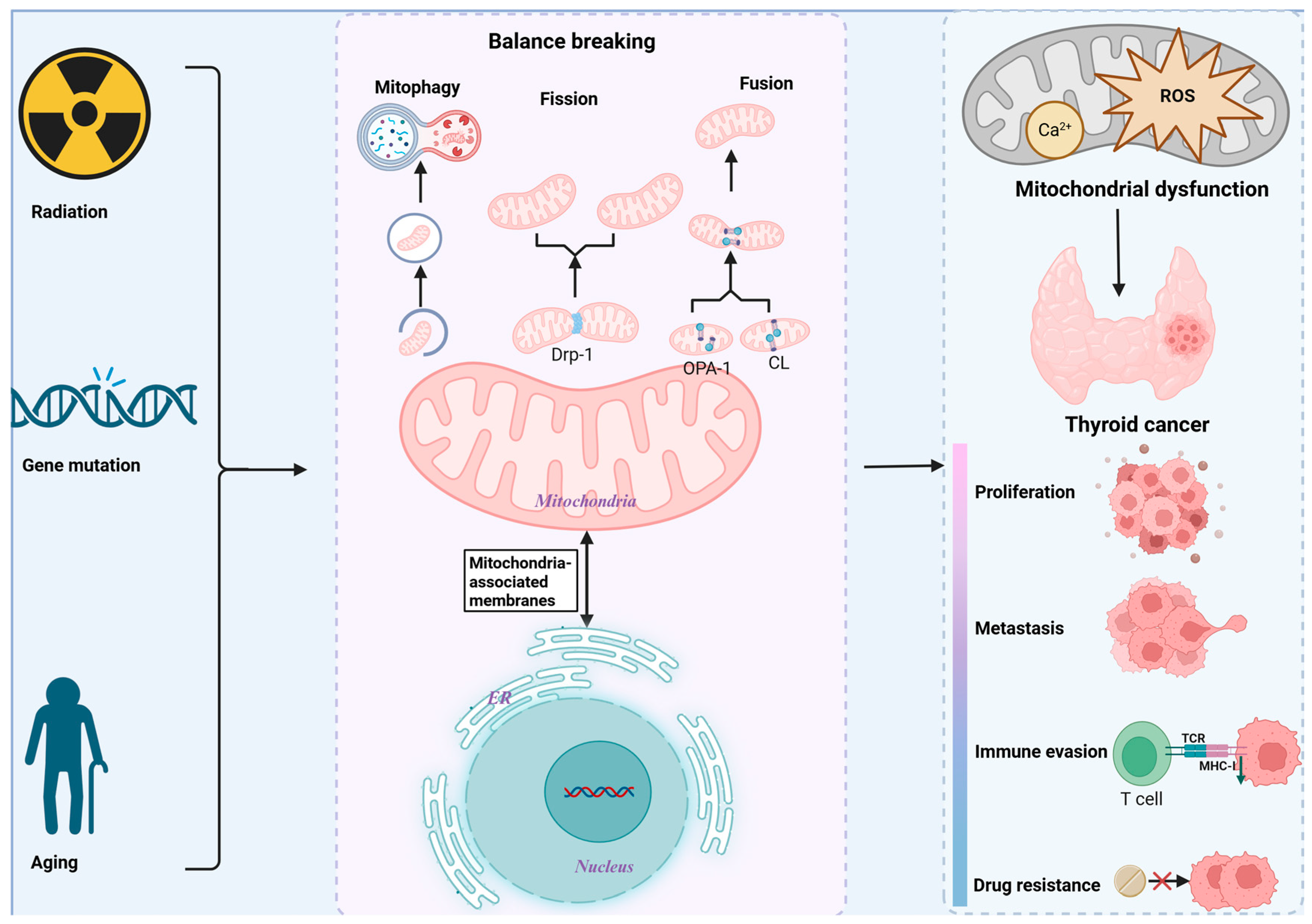 Biomolecules 15 01292 g001 Biomolecules 15 01292 g001