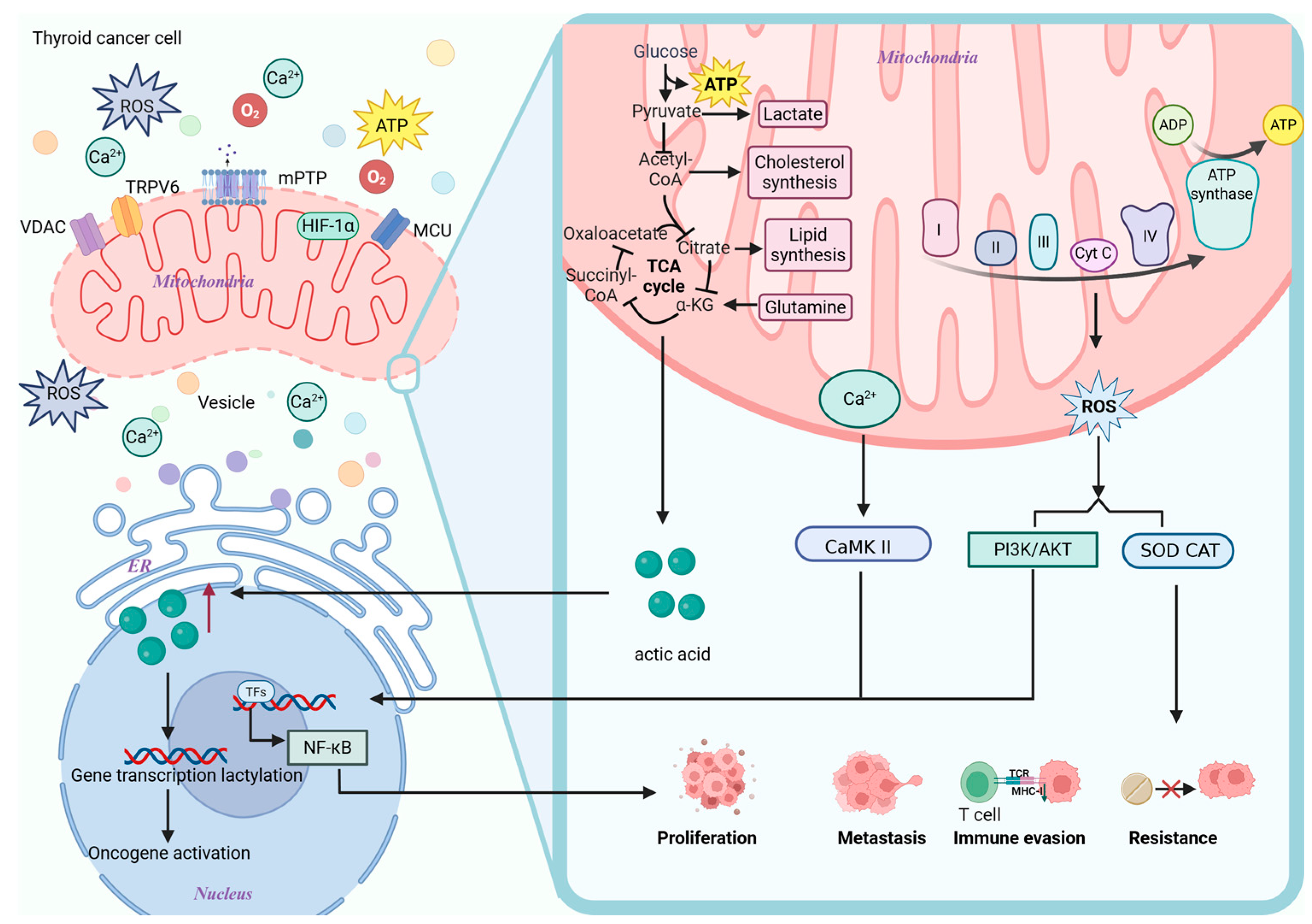 Biomolecules 15 01292 g003 Biomolecules 15 01292 g003