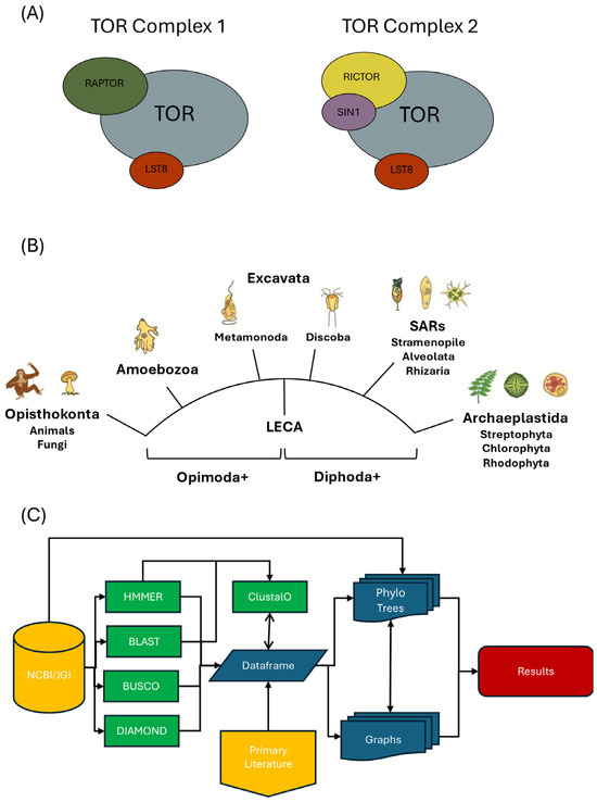 Biomolecules 15 01295 g001
