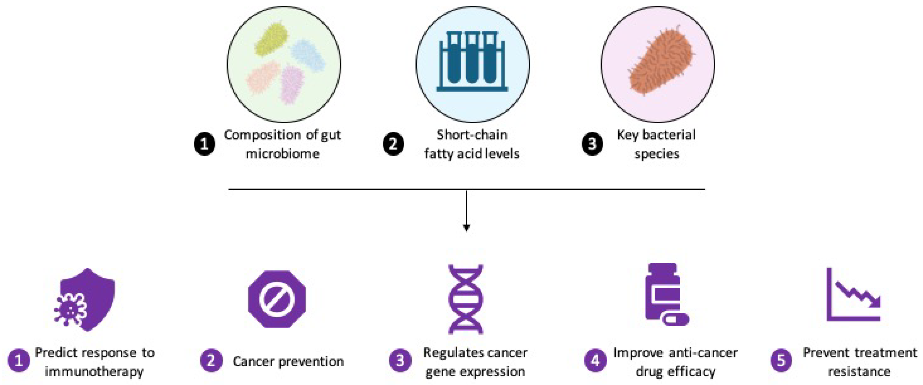 Biomolecules 15 01304 g003