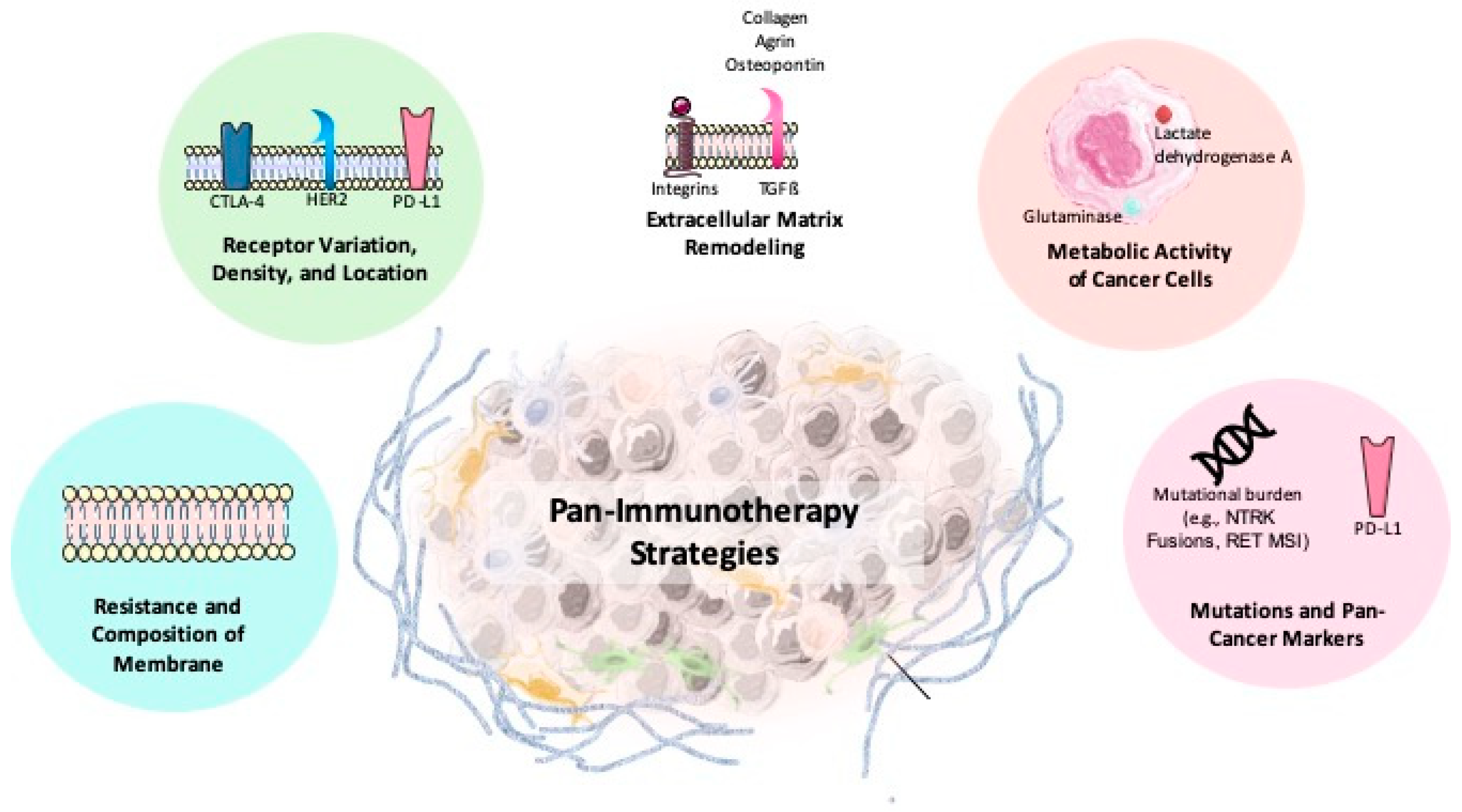 Biomolecules 15 01304 g006