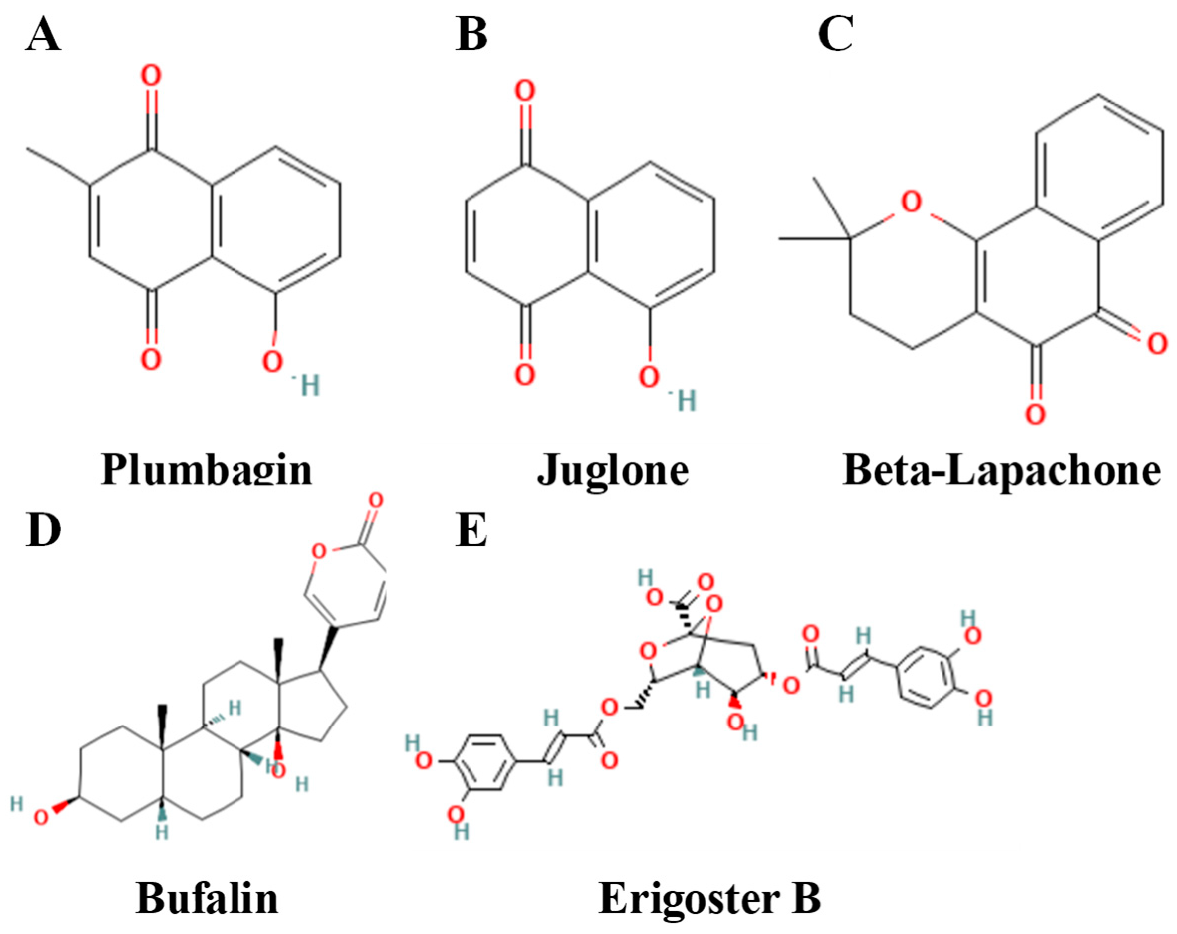 Biomolecules 15 01308 g007 Biomolecules 15 01308 g007
