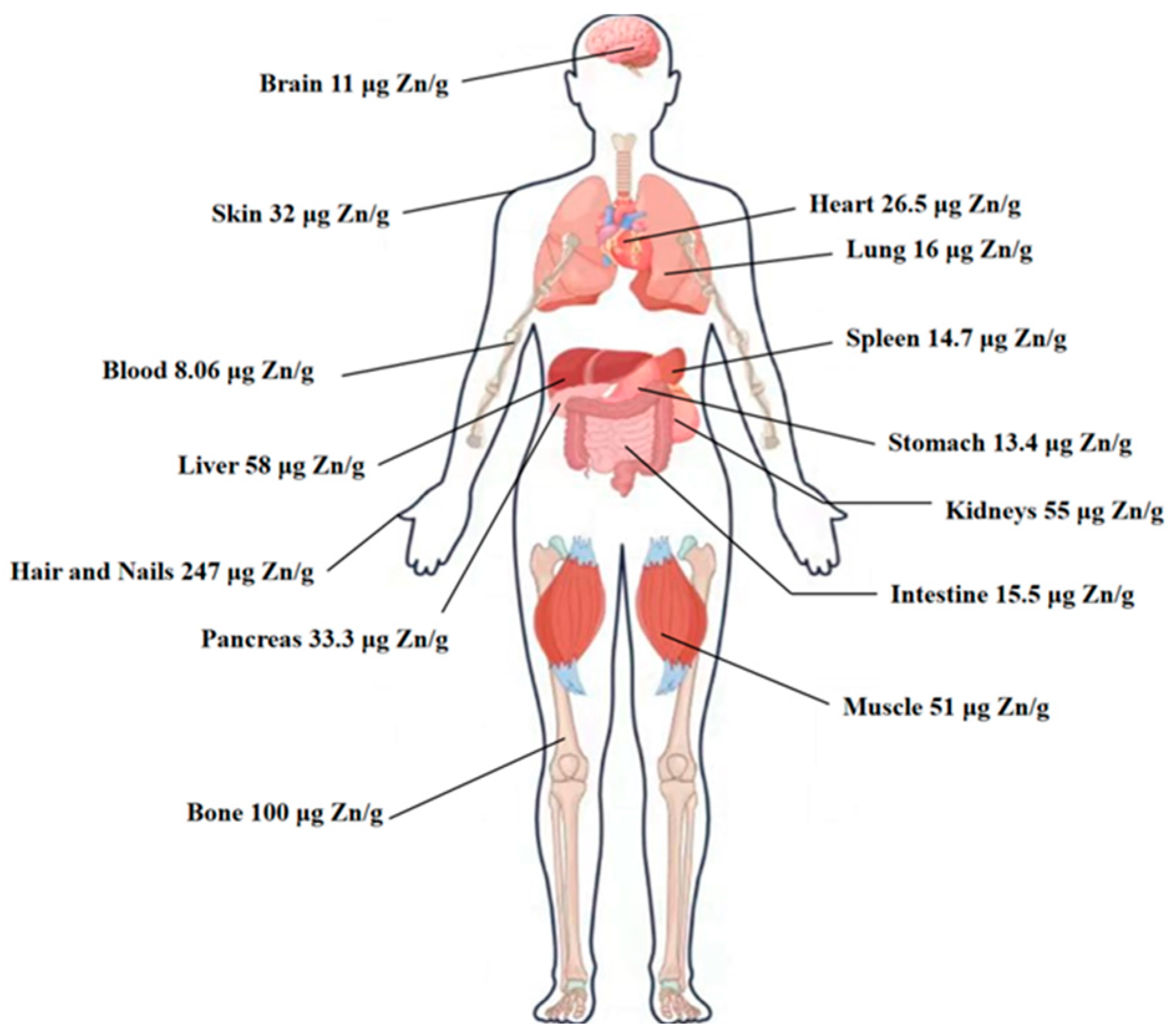 Biomolecules 15 01311 g001