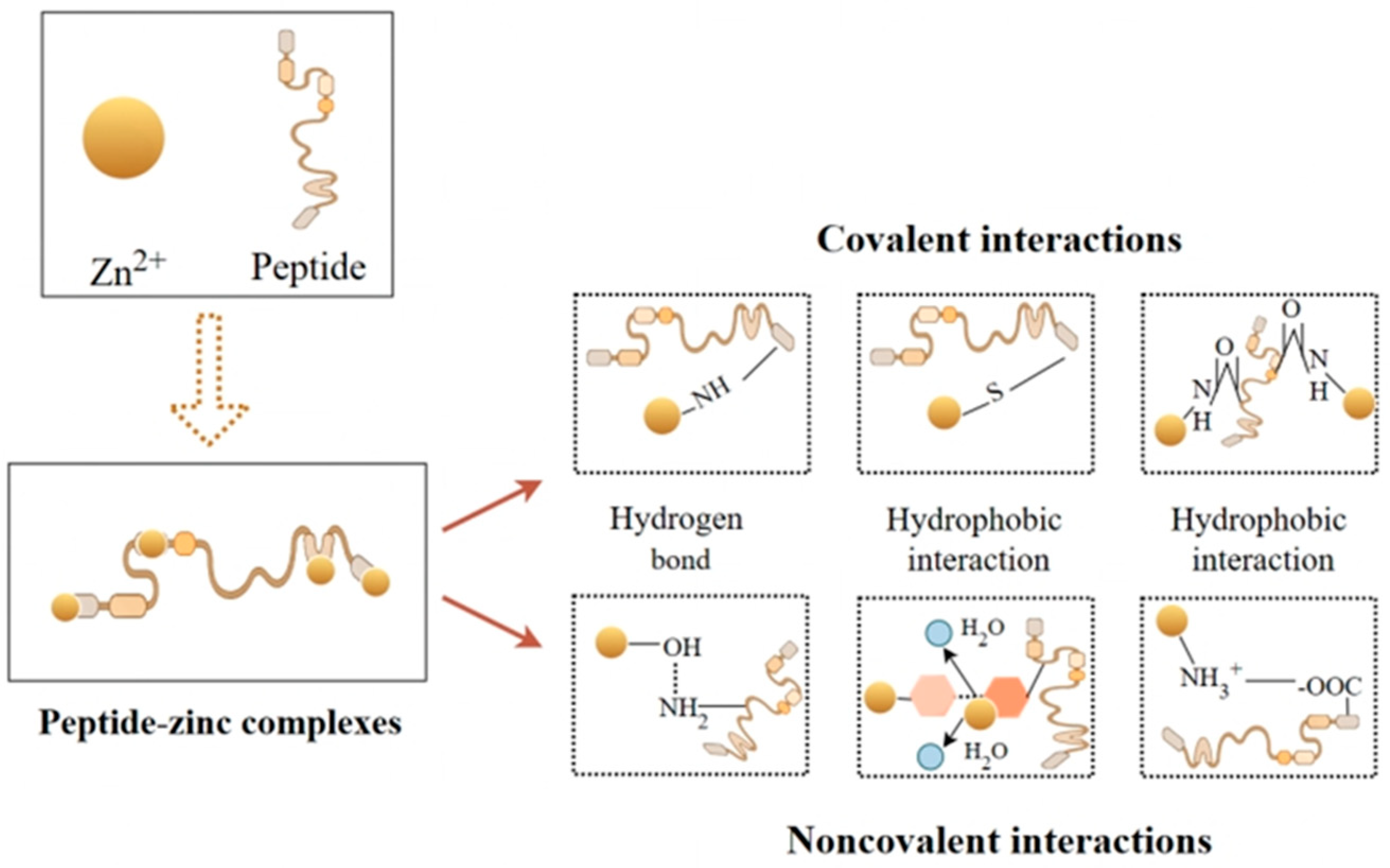Biomolecules 15 01311 g002
