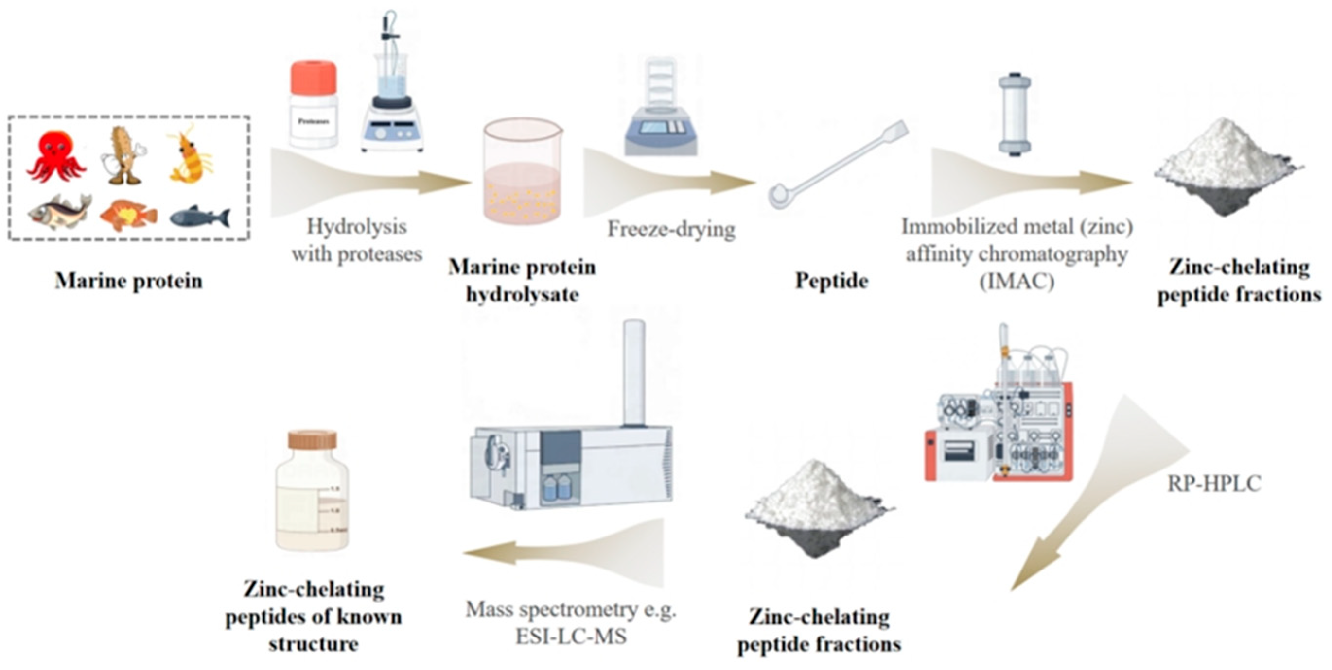 Biomolecules 15 01311 g003