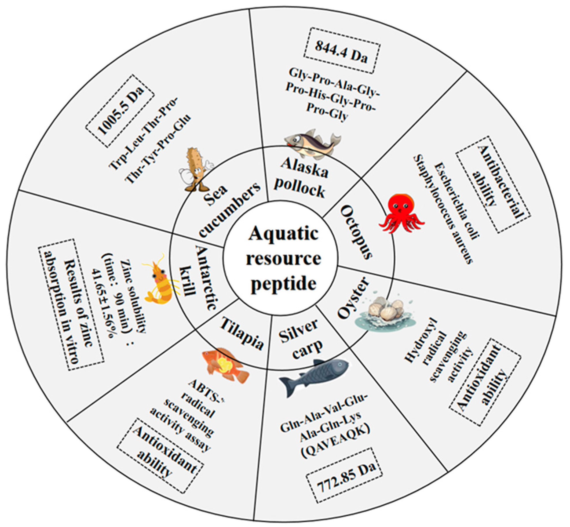 Biomolecules 15 01311 g004