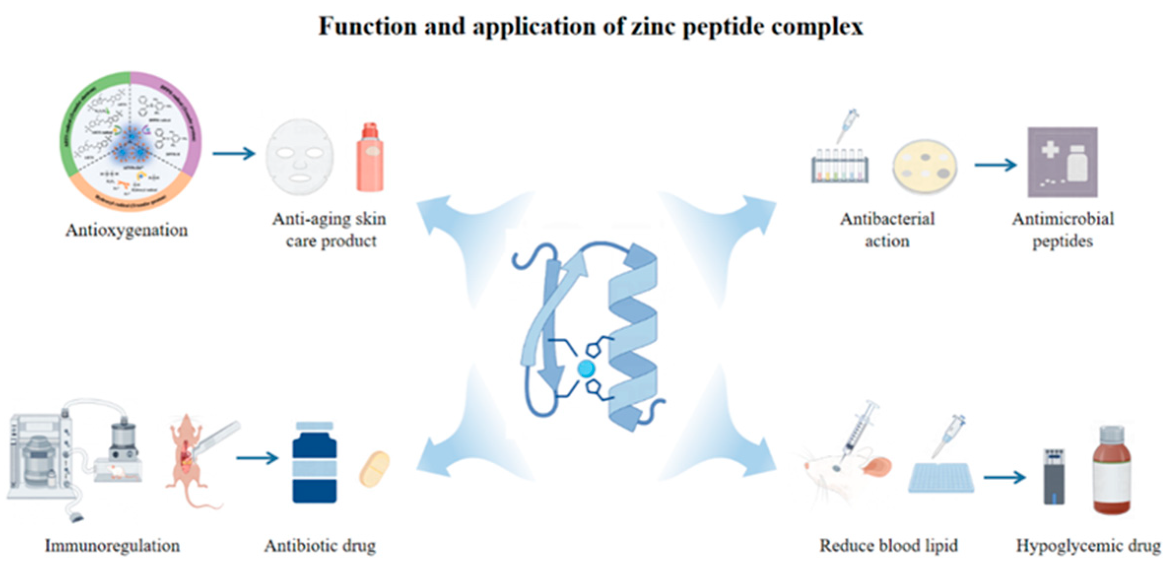Biomolecules 15 01311 g006