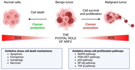 Biomolecules 15 01316 g001