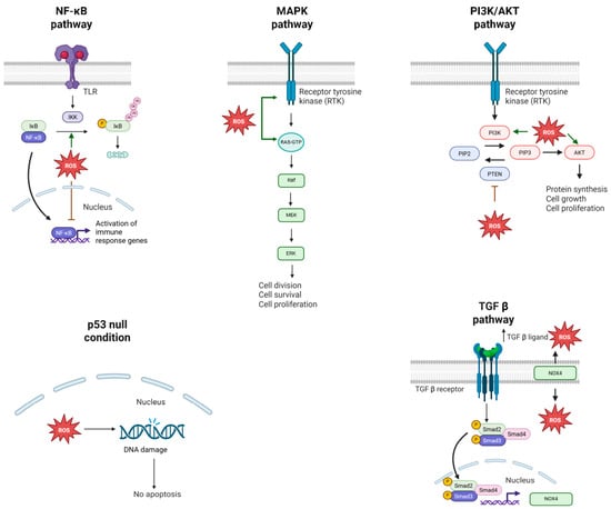 Biomolecules 15 01316 g002