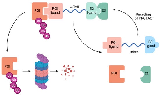 Biomolecules 15 01316 g003