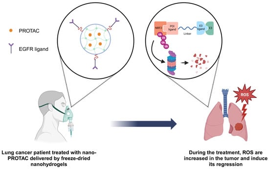 Biomolecules 15 01316 g004