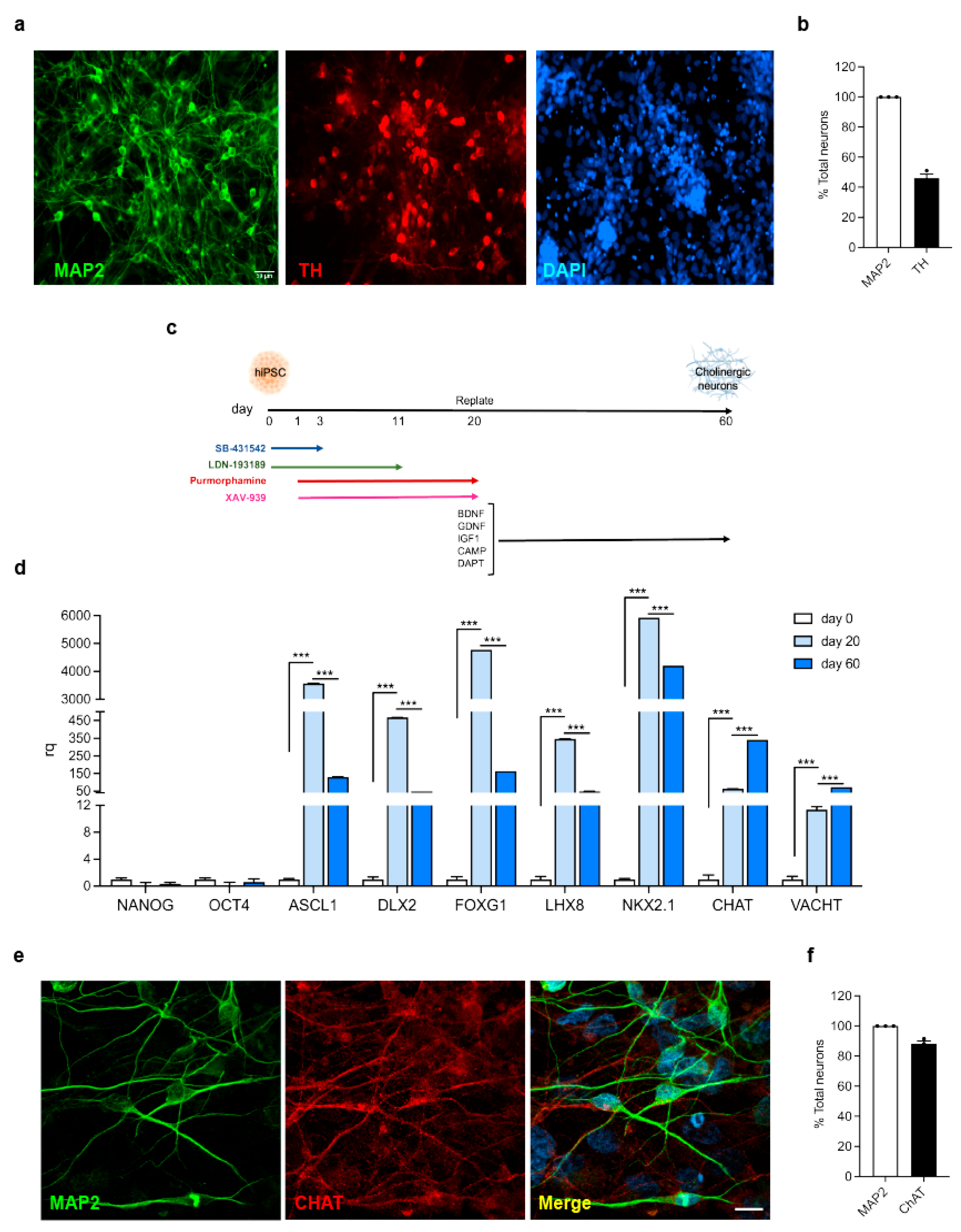 Biomolecules 15 01322 g001