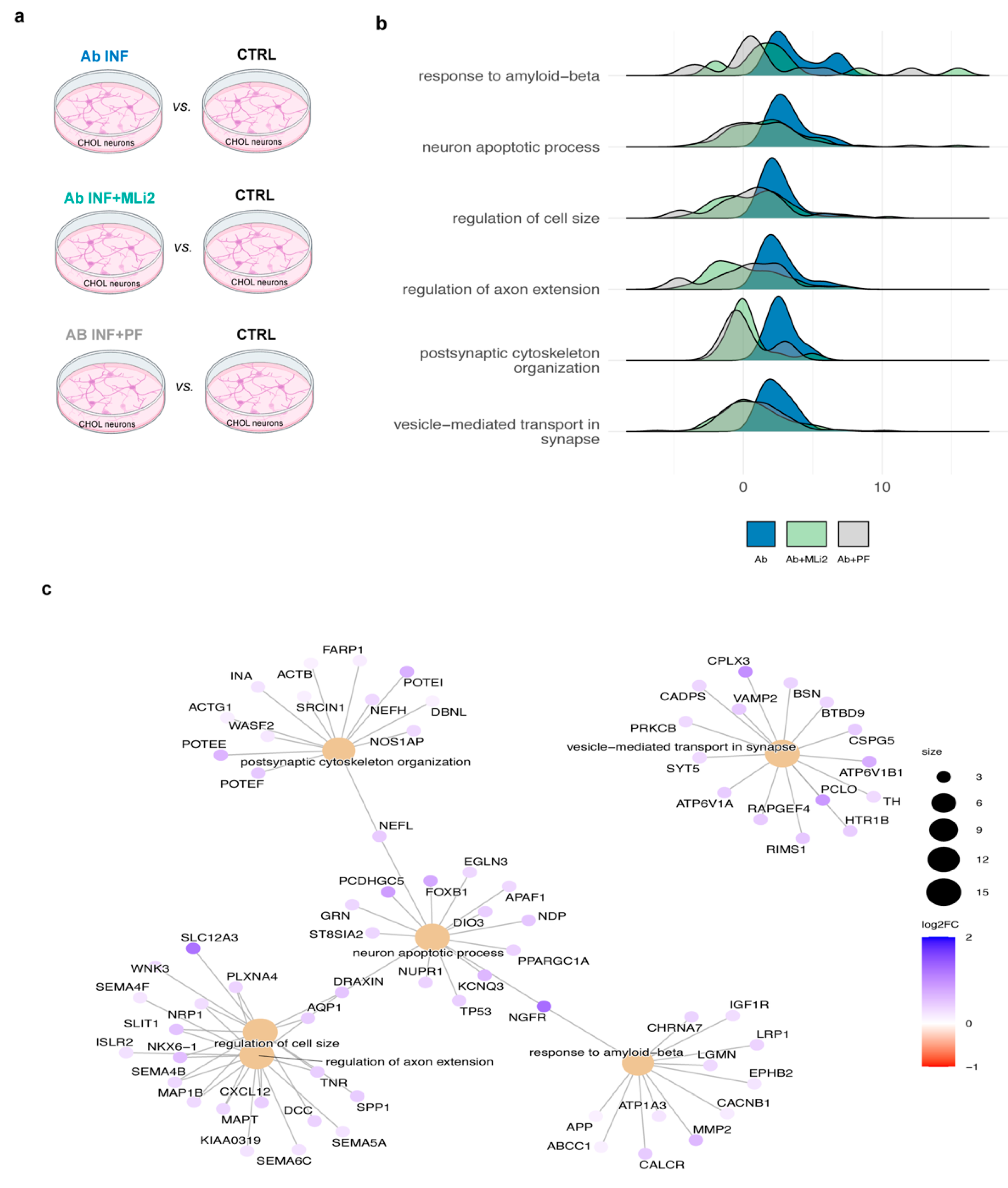 Biomolecules 15 01322 g003