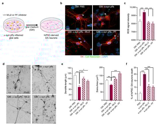 Biomolecules 15 01322 g004