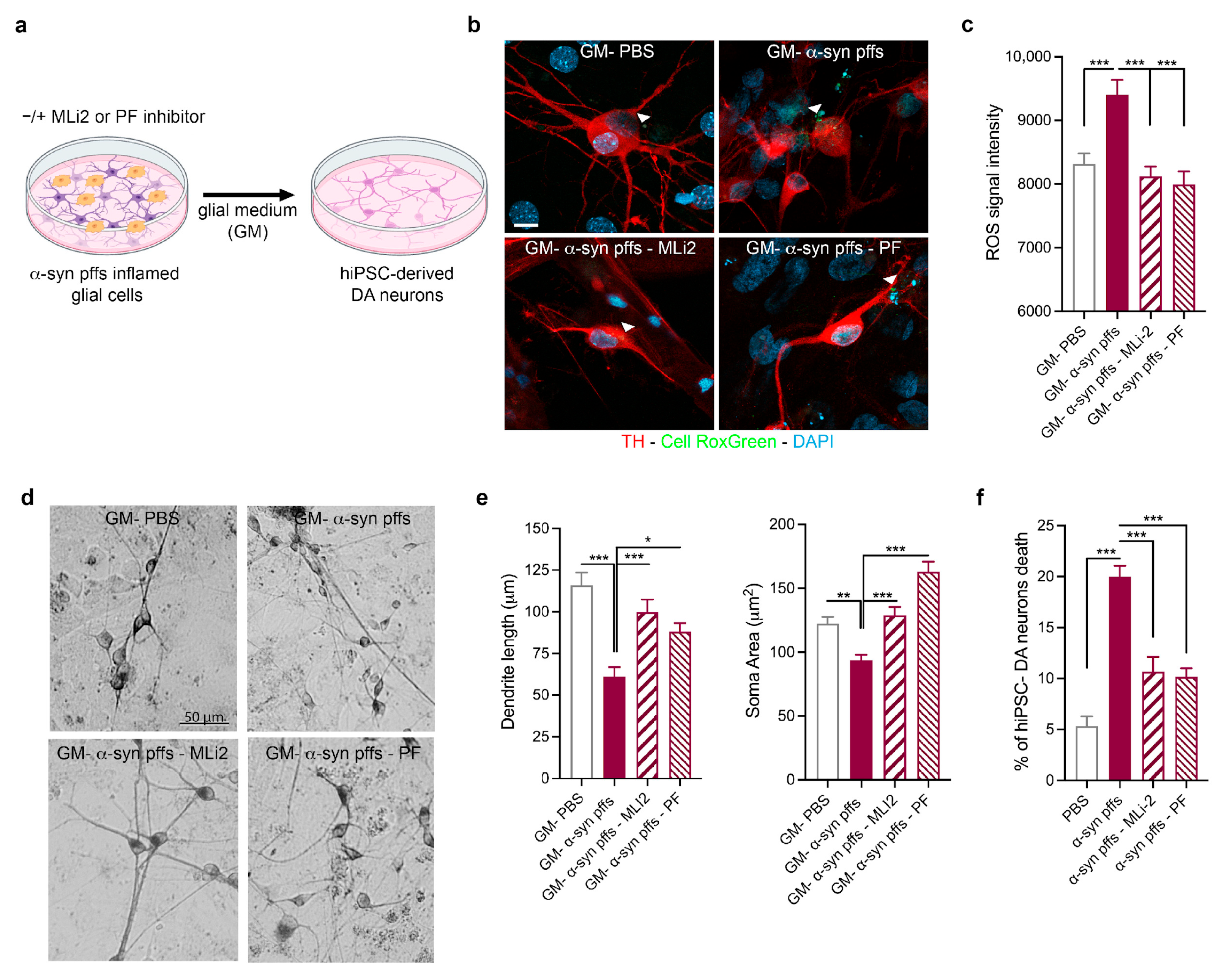 Biomolecules 15 01322 g004