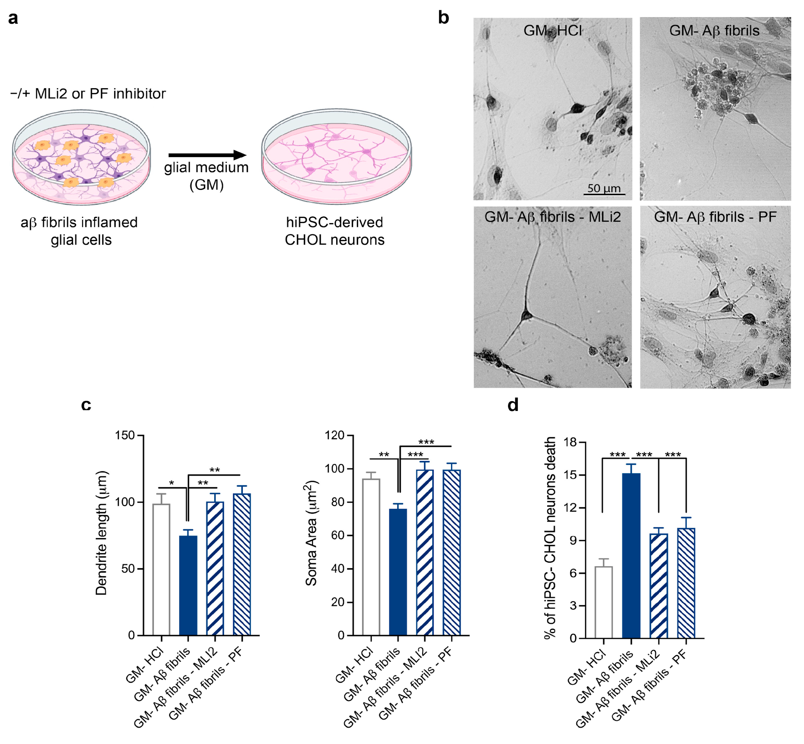 Biomolecules 15 01322 g005