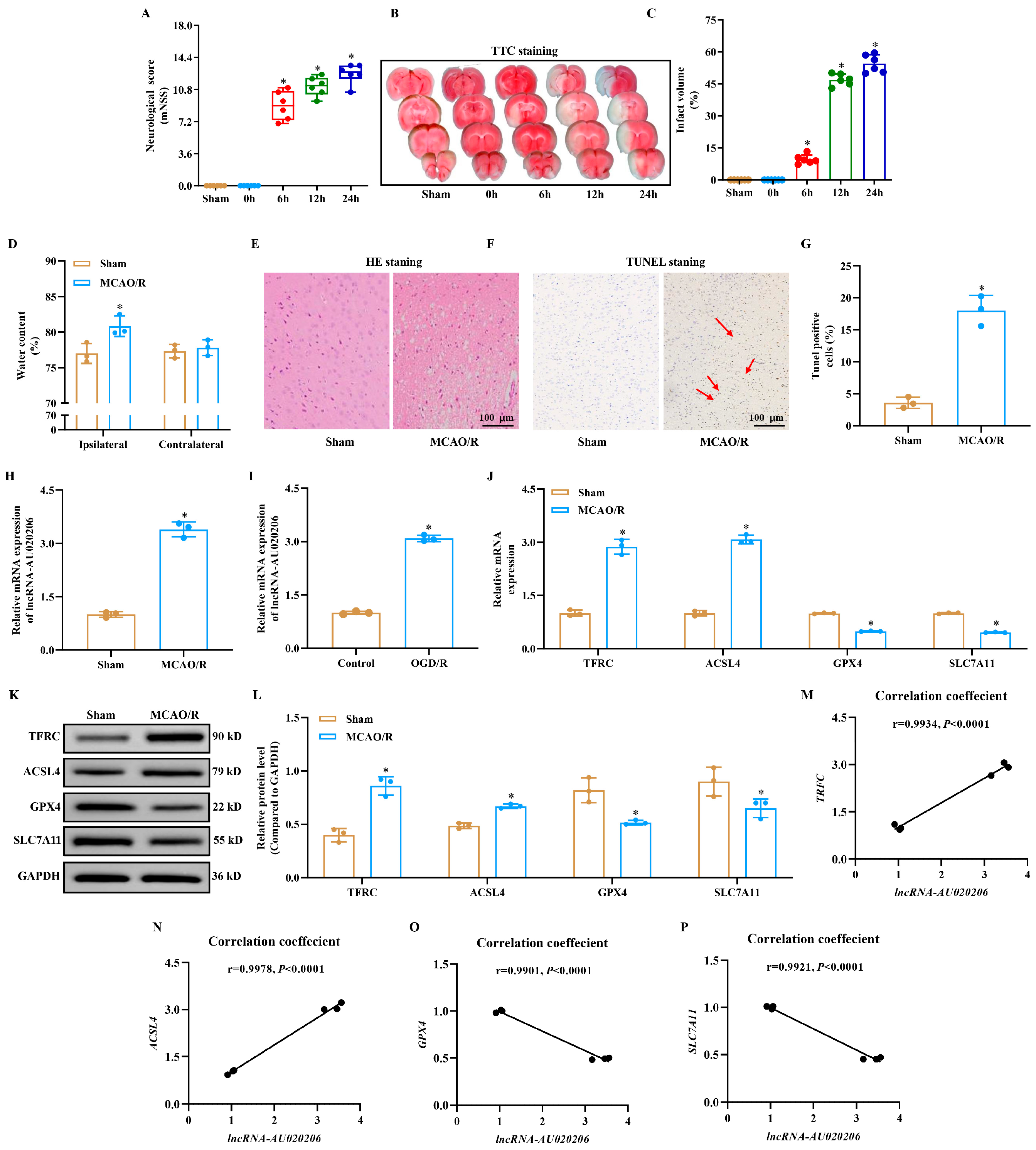 Biomolecules 15 01353 g001 Biomolecules 15 01353 g001