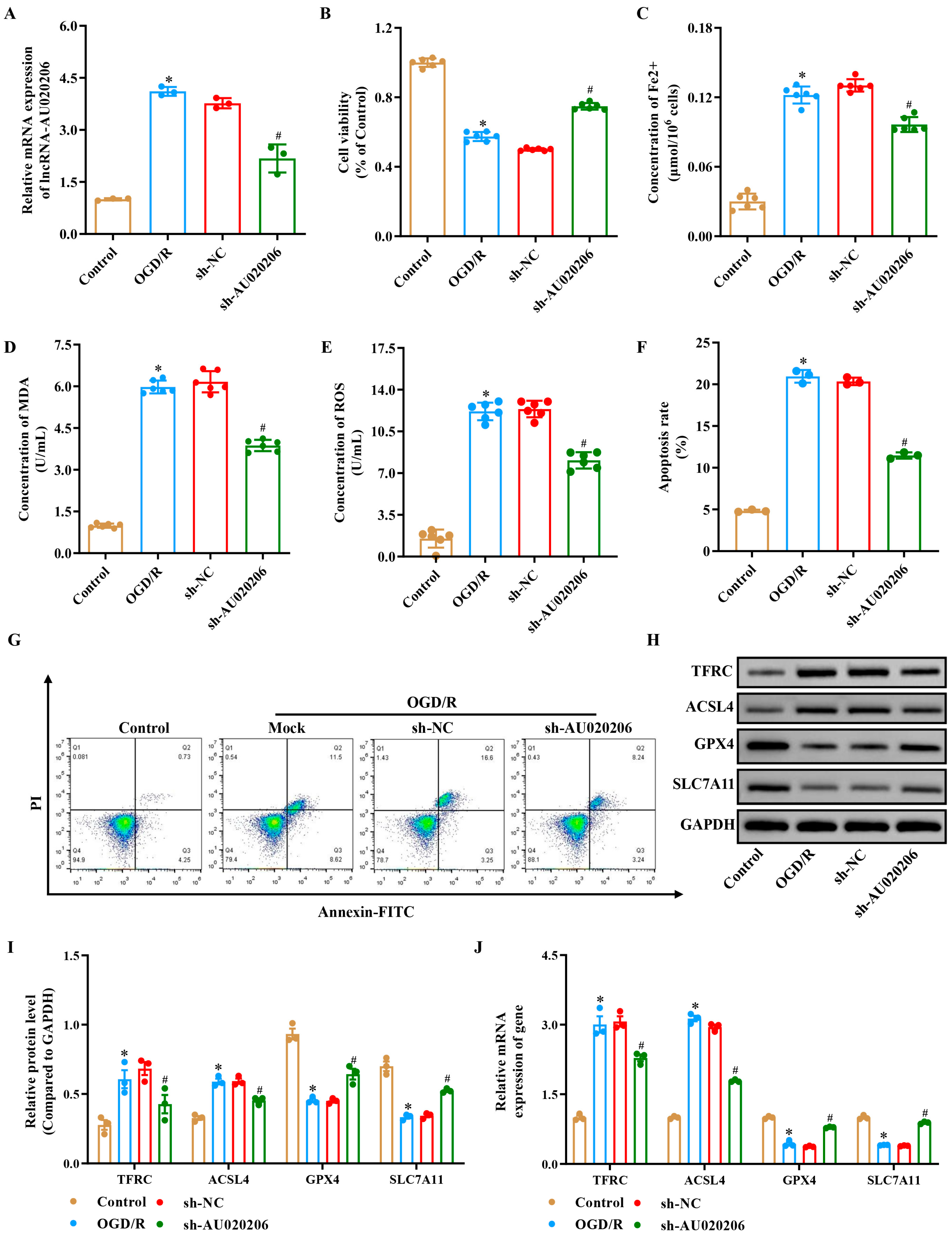 Biomolecules 15 01353 g002 Biomolecules 15 01353 g002