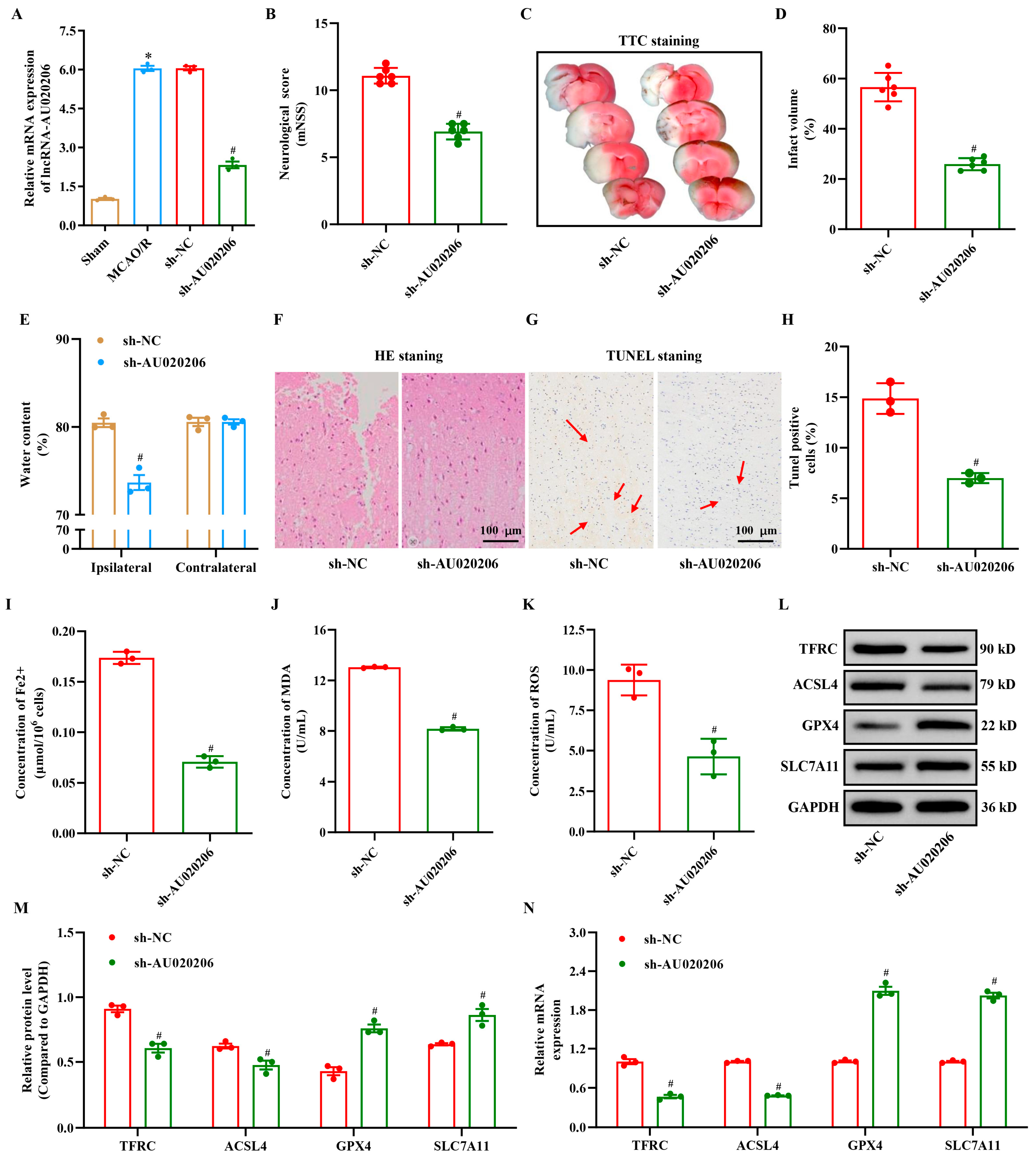 Biomolecules 15 01353 g003 Biomolecules 15 01353 g003