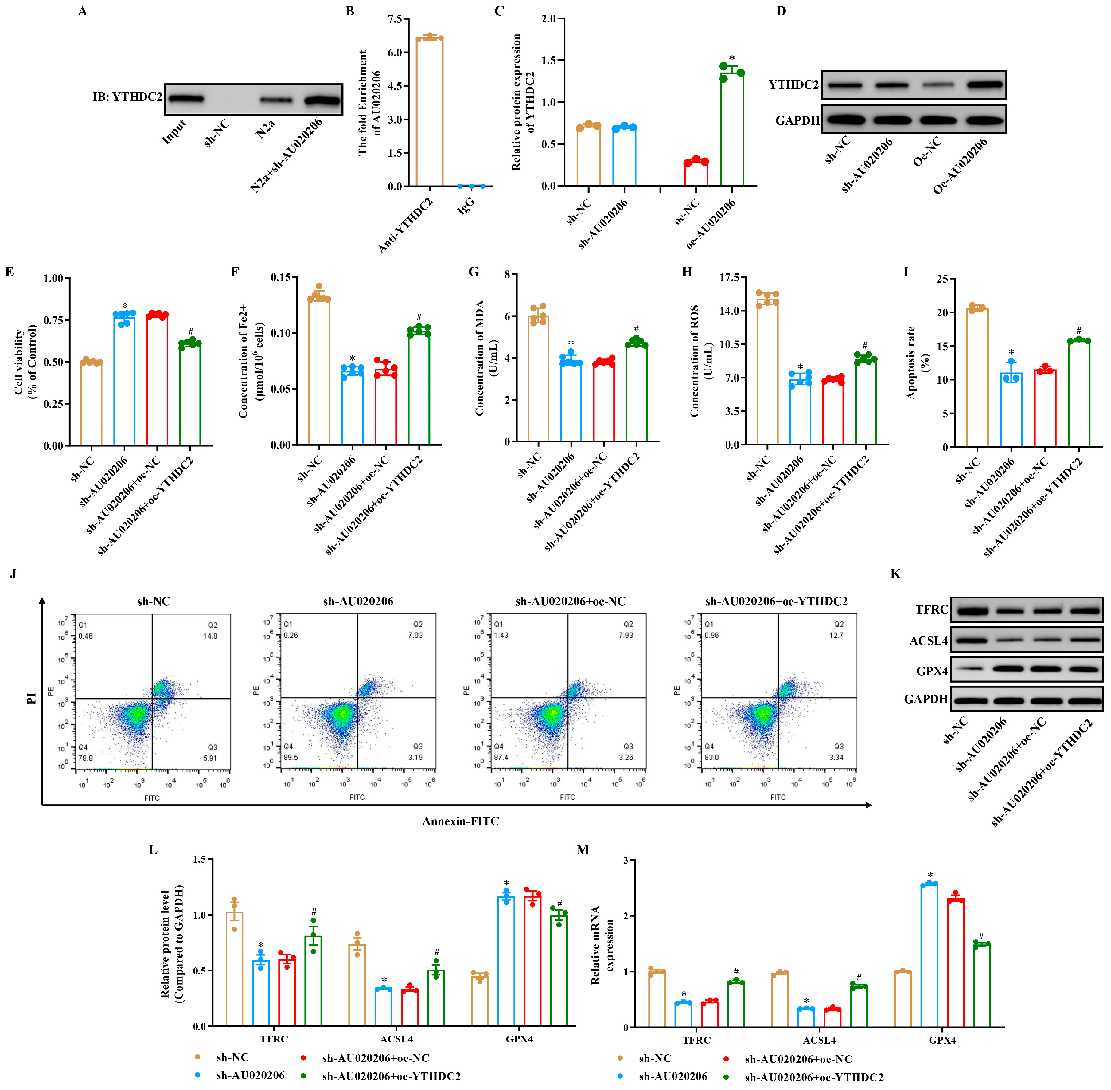 Biomolecules 15 01353 g004 Biomolecules 15 01353 g004