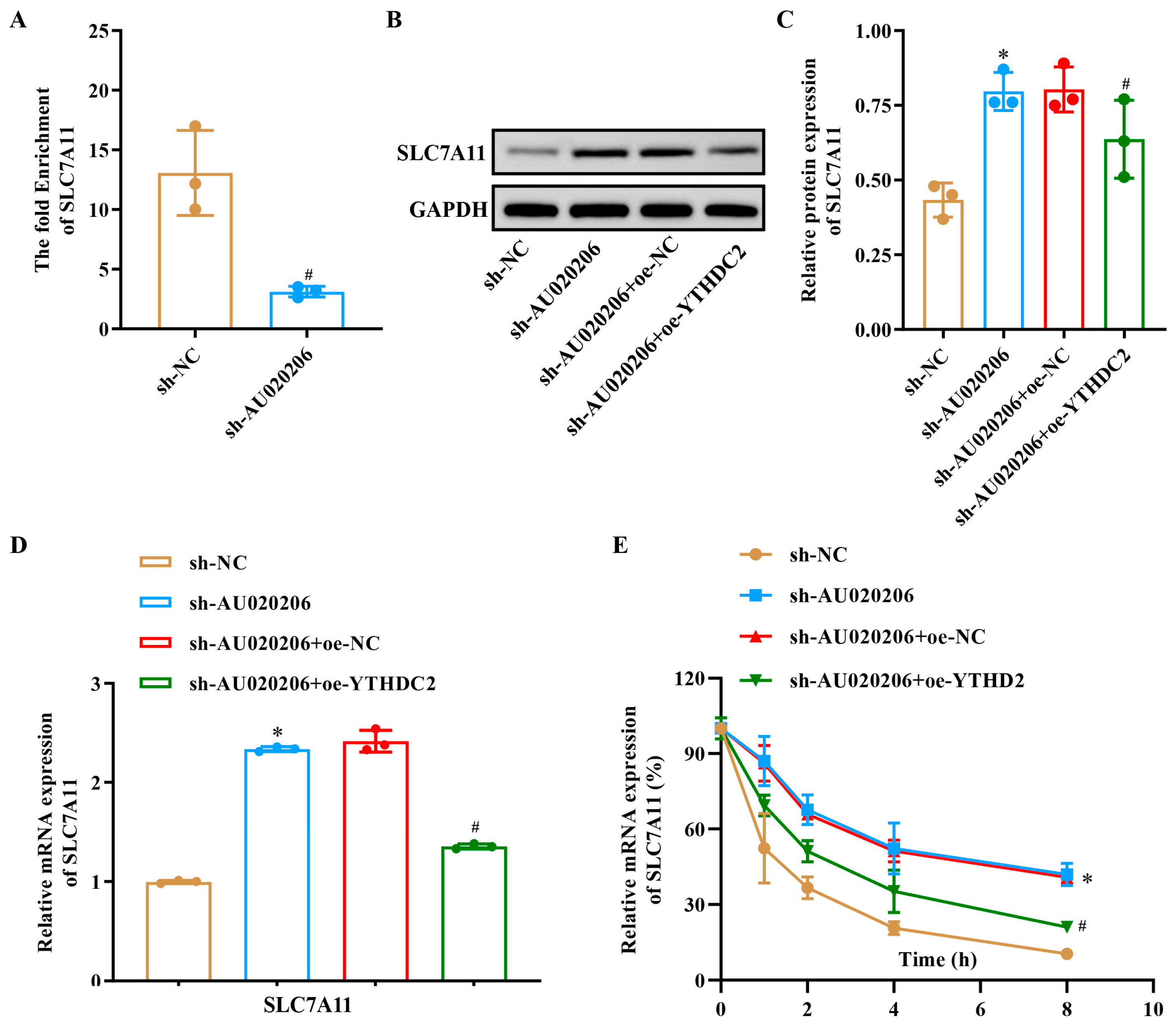 Biomolecules 15 01353 g005 Biomolecules 15 01353 g005