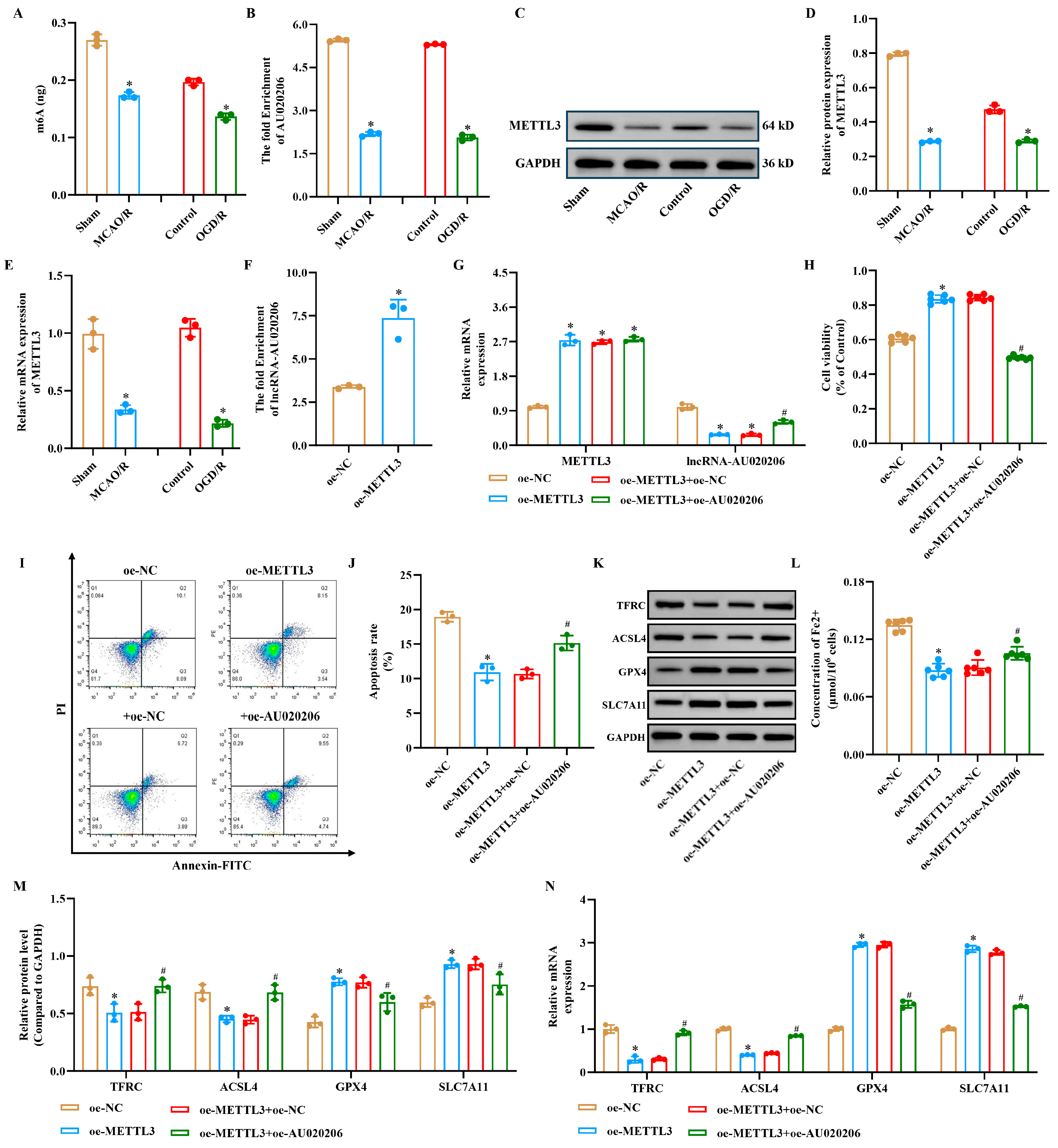 Biomolecules 15 01353 g006 Biomolecules 15 01353 g006