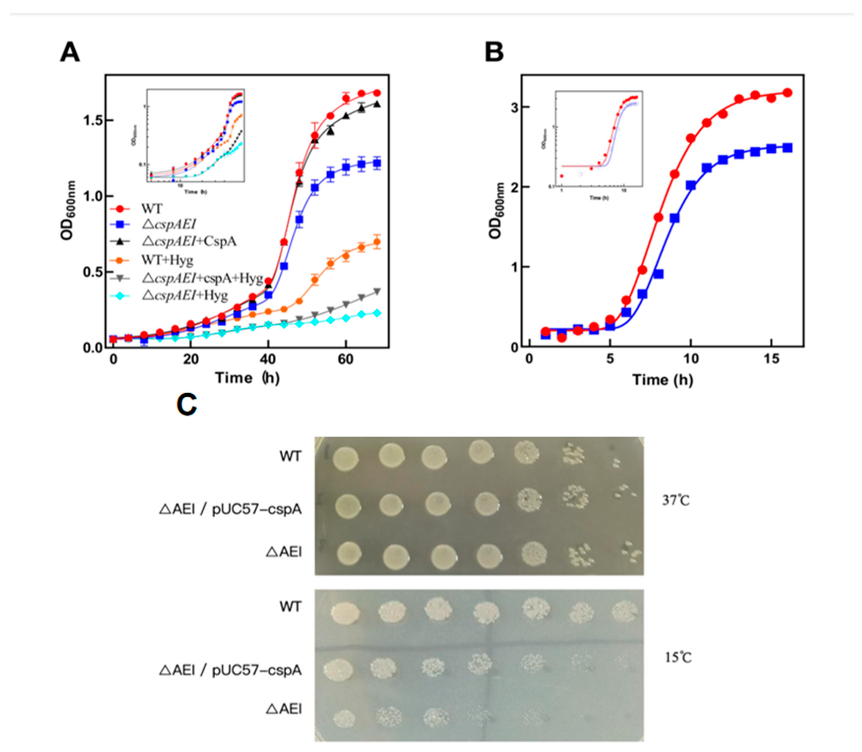 Biomolecules 15 01387 g004