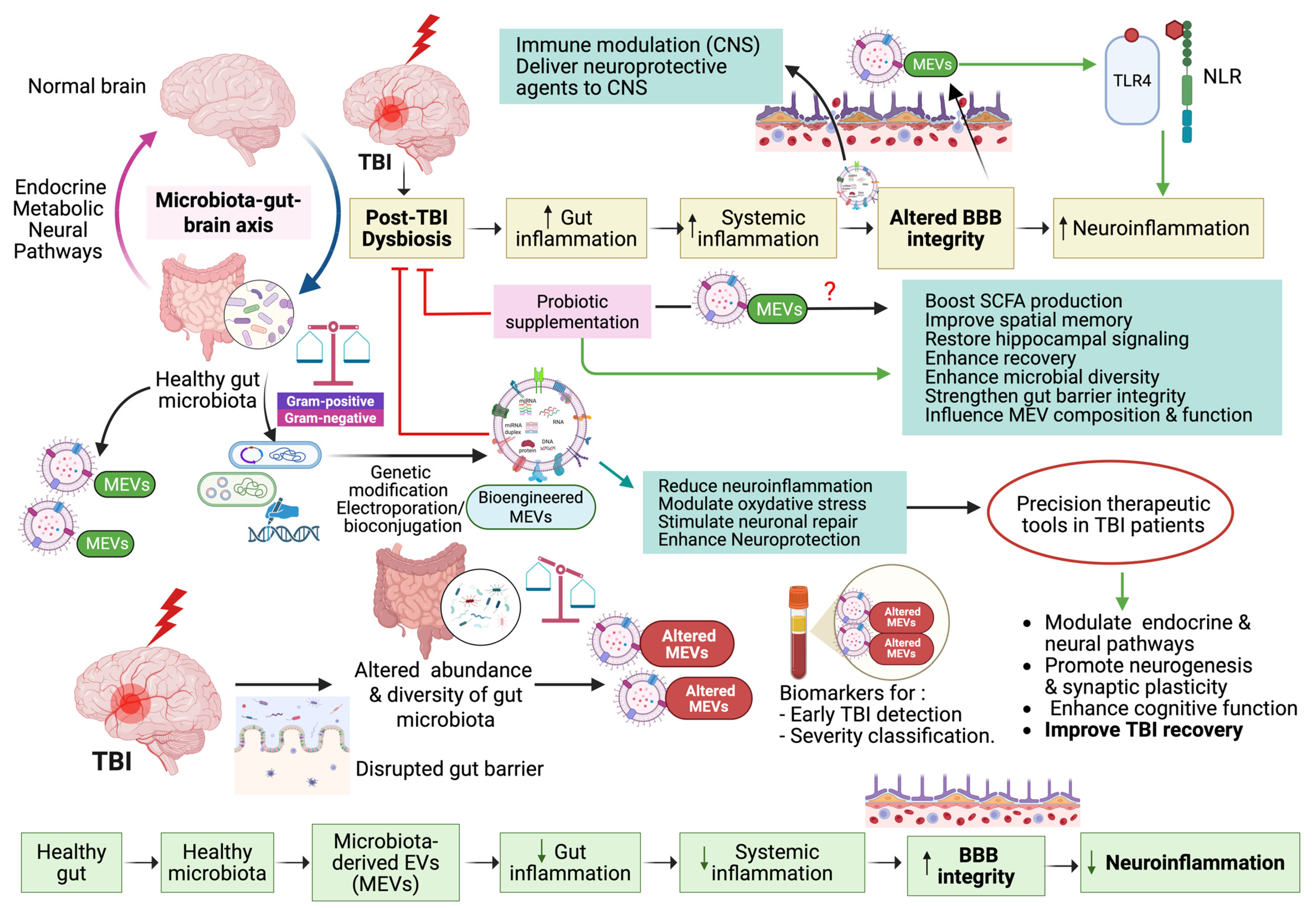 Biomolecules 15 01398 g001 Biomolecules 15 01398 g001