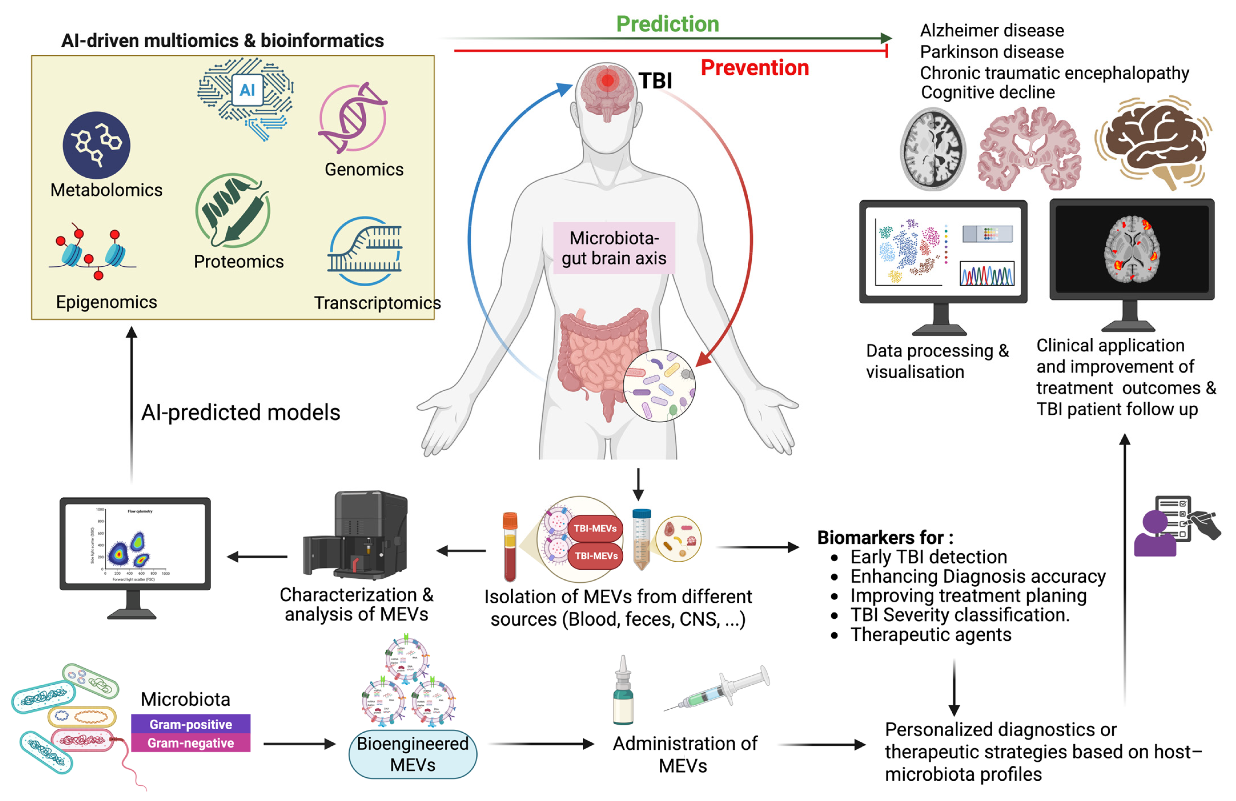 Biomolecules 15 01398 g002 Biomolecules 15 01398 g002