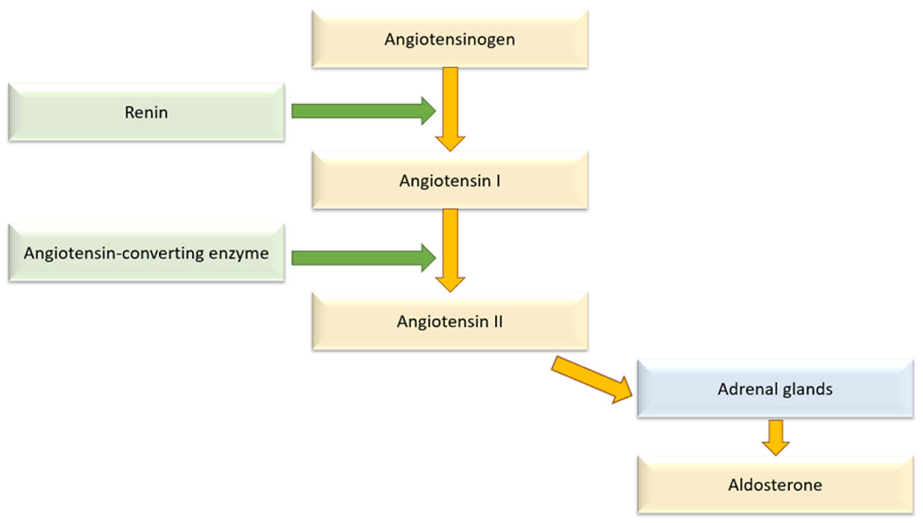 Biomolecules 15 01439 g001
