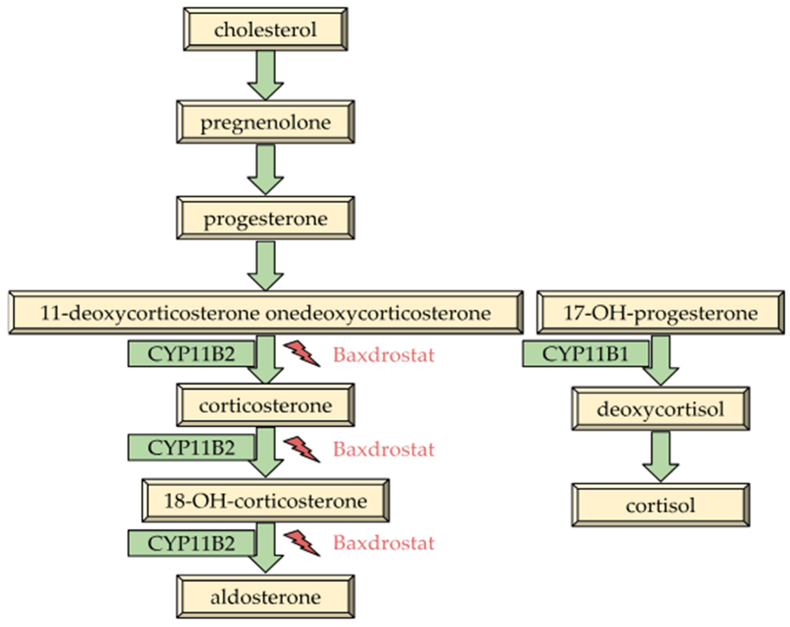Biomolecules 15 01439 g002