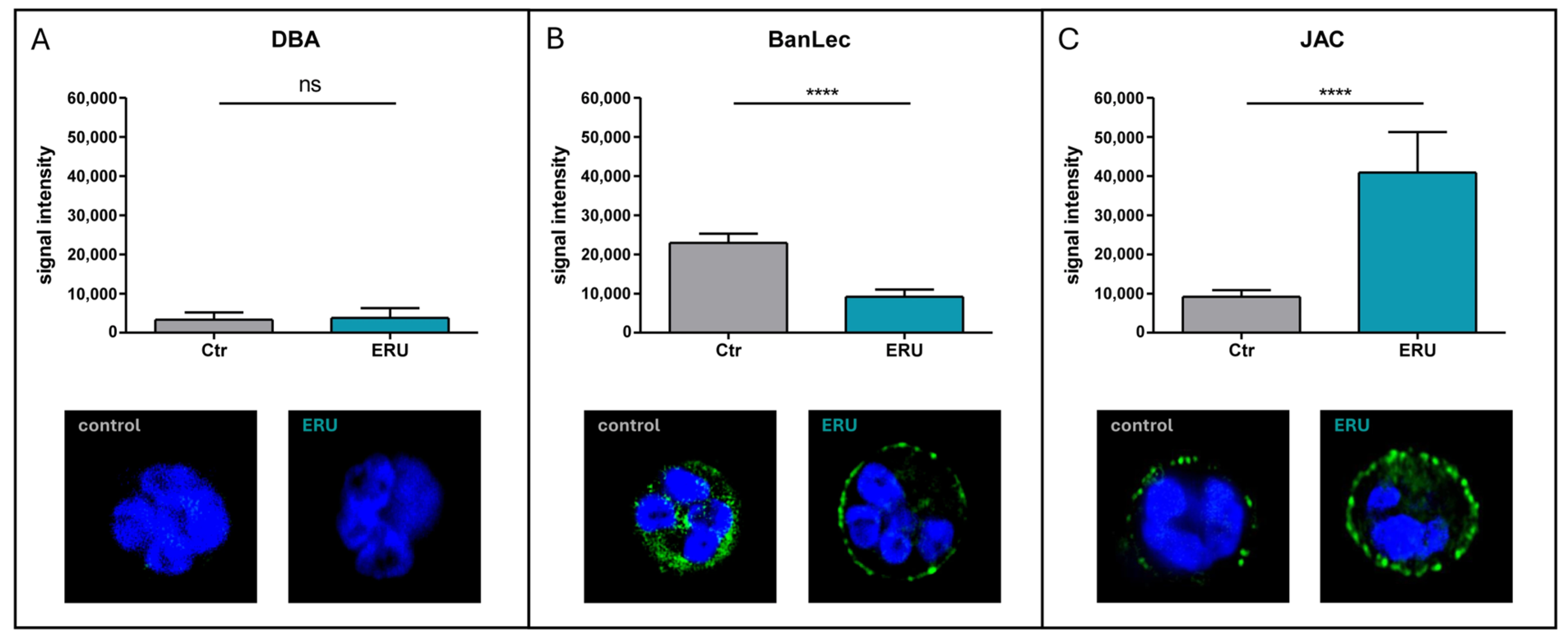 Biomolecules 15 01444 g004