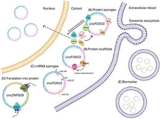 Biomolecules 15 01455 g002