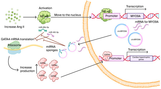Biomolecules 15 01455 g003