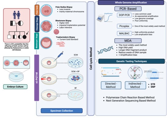 Biomolecules 15 01472 g001