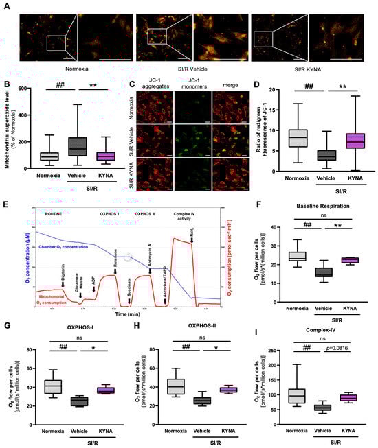 Biomolecules 15 01481 g004