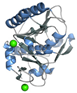 Biomolecules 15 01488 i008 Biomolecules 15 01488 i008