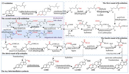 Biomolecules 15 01496 g003