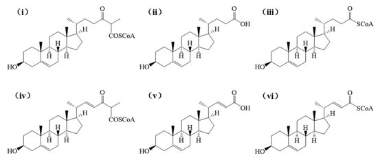 Biomolecules 15 01496 g004